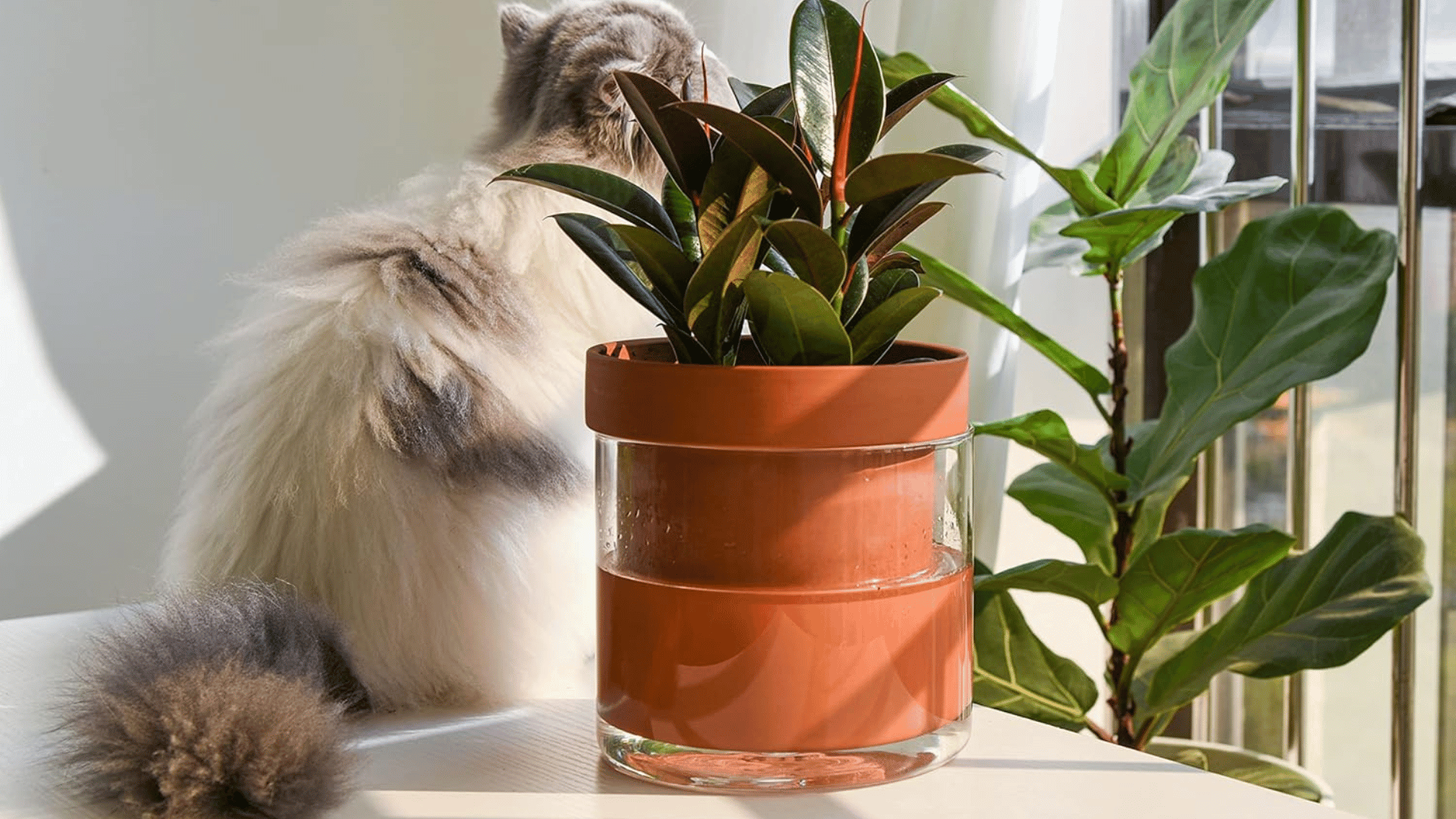 Self-Watering Planter Pot