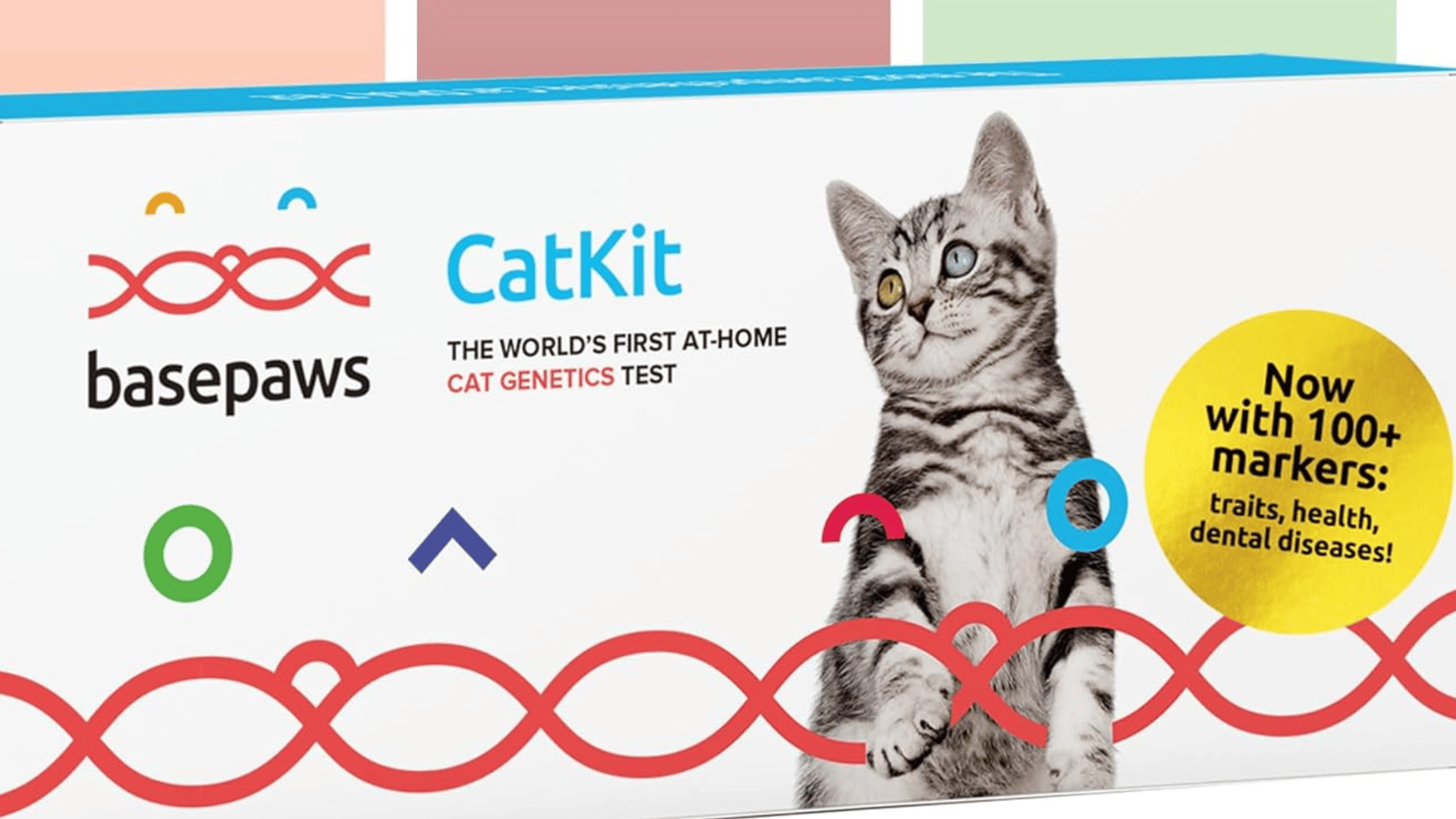 Basepaws’ Cat DNA Test Kit