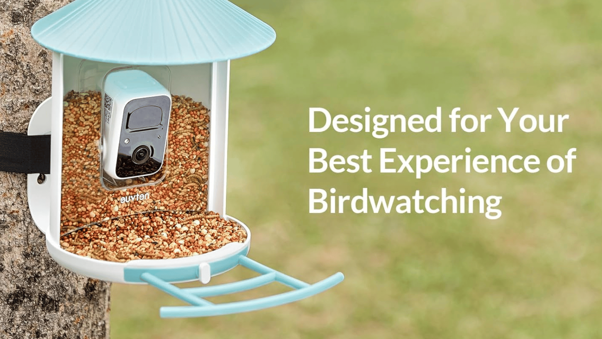 Netvue Birdfy Feeder Cam