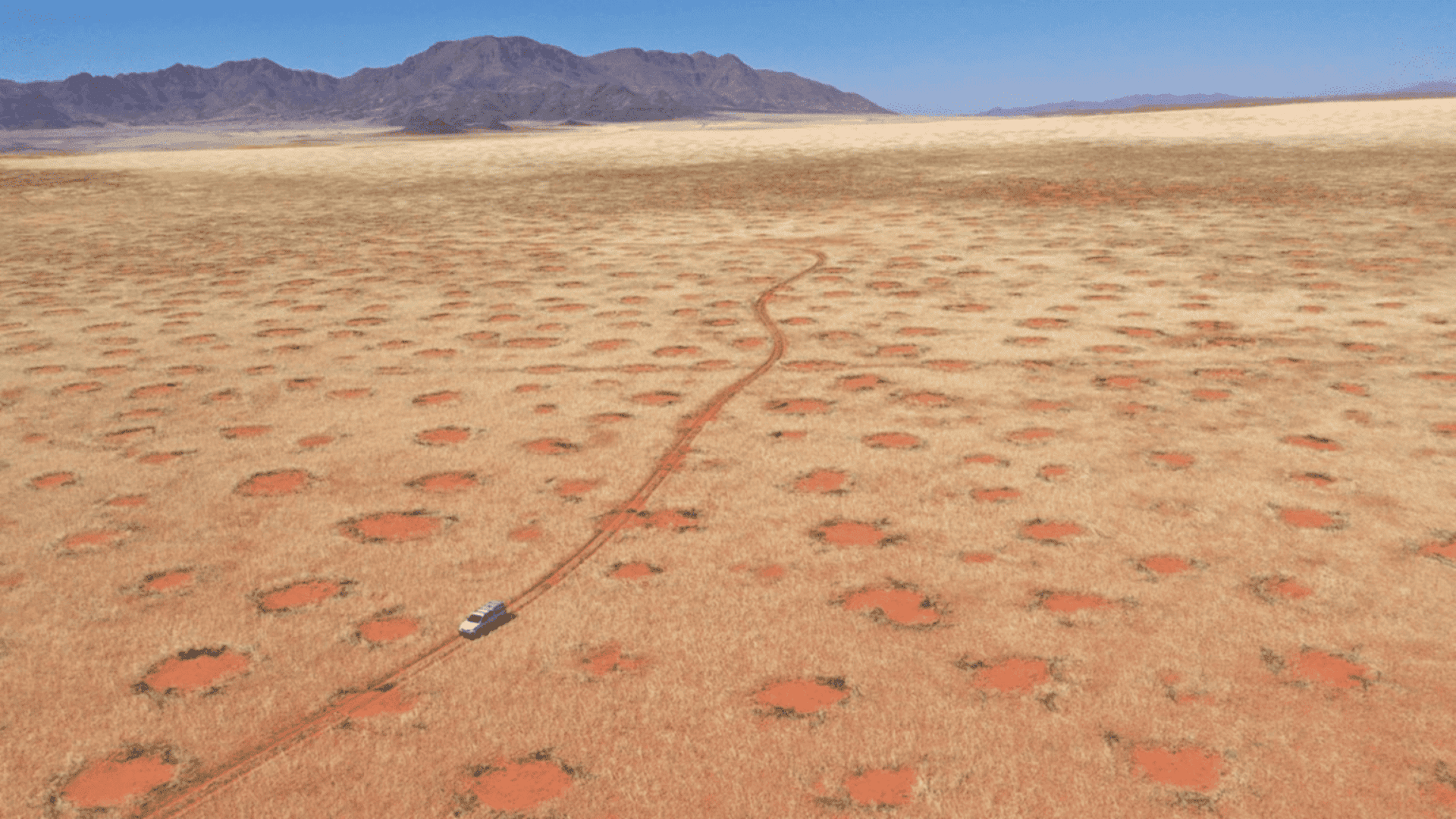 Drone flies over the NamibRand Nature Reserve; Photo: Dr. Stephan Getzin Drone flies over the NamibRand Nature Reserve; Photo: Dr. Stephan Getzin