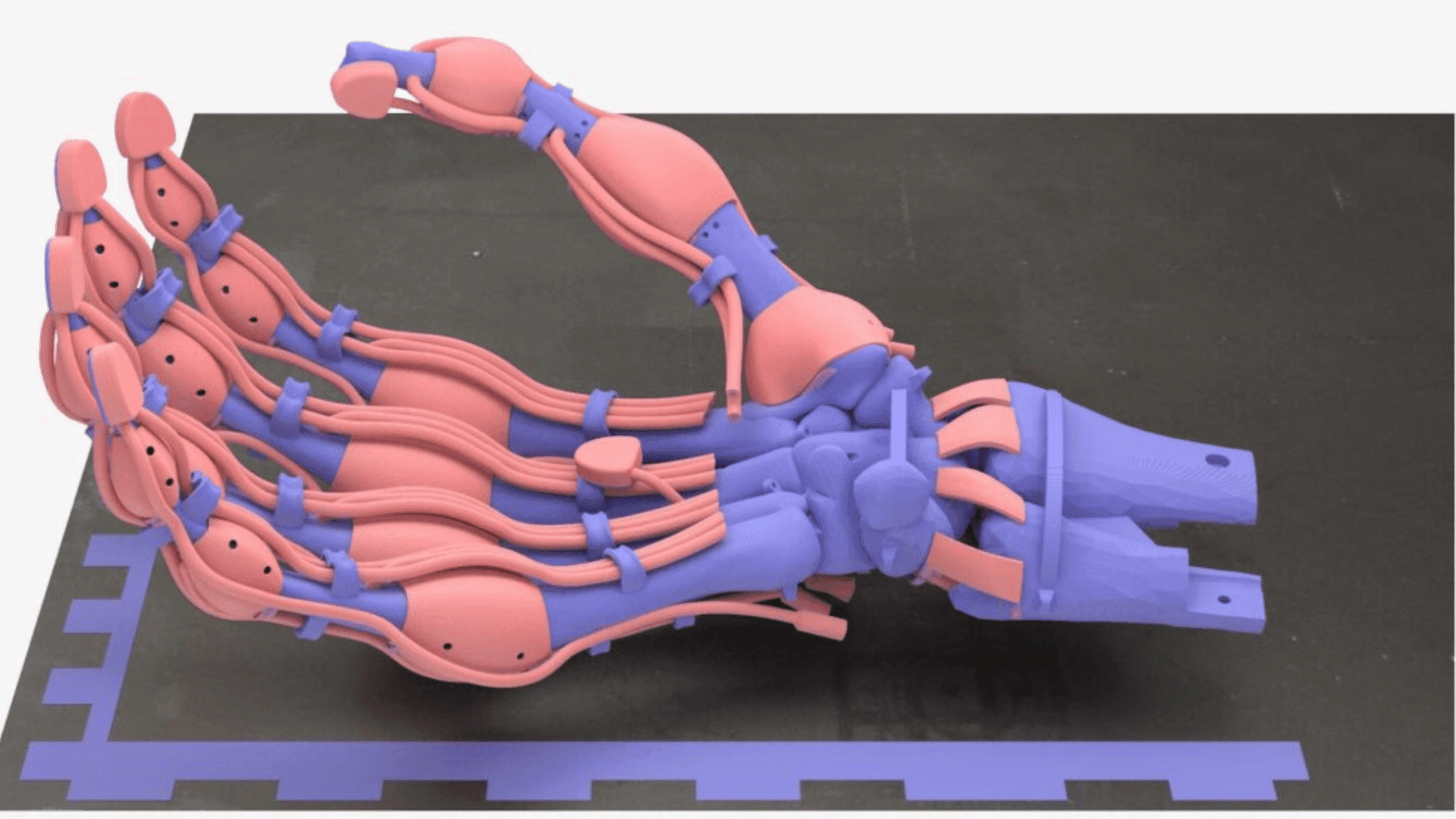 Researchers 3D Printed Hand with Ligaments ETH Zurich : SWNS