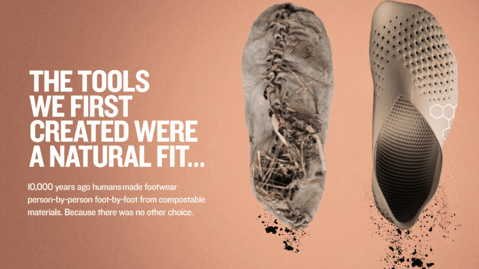 Shoes made from biodegradable materials 