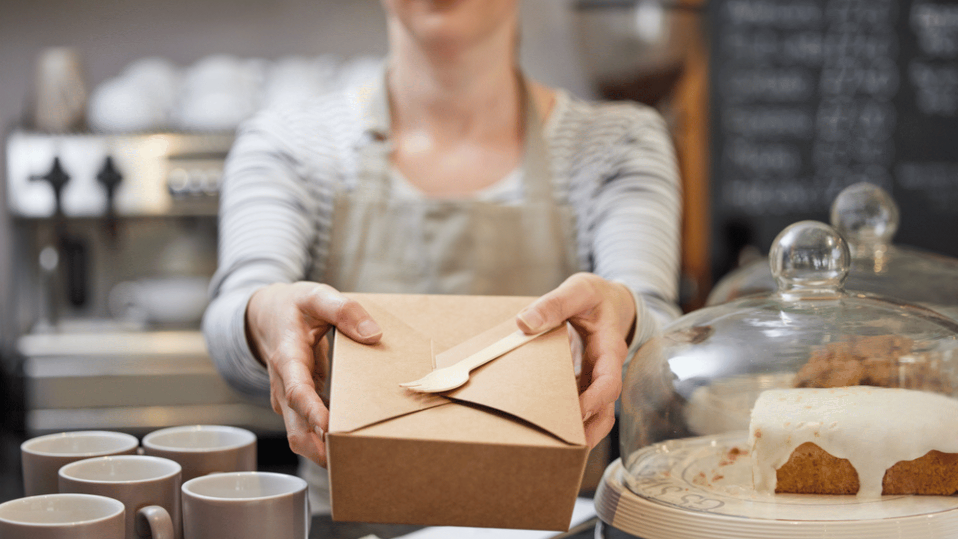 Person Serving Sustainable Food to Traveler