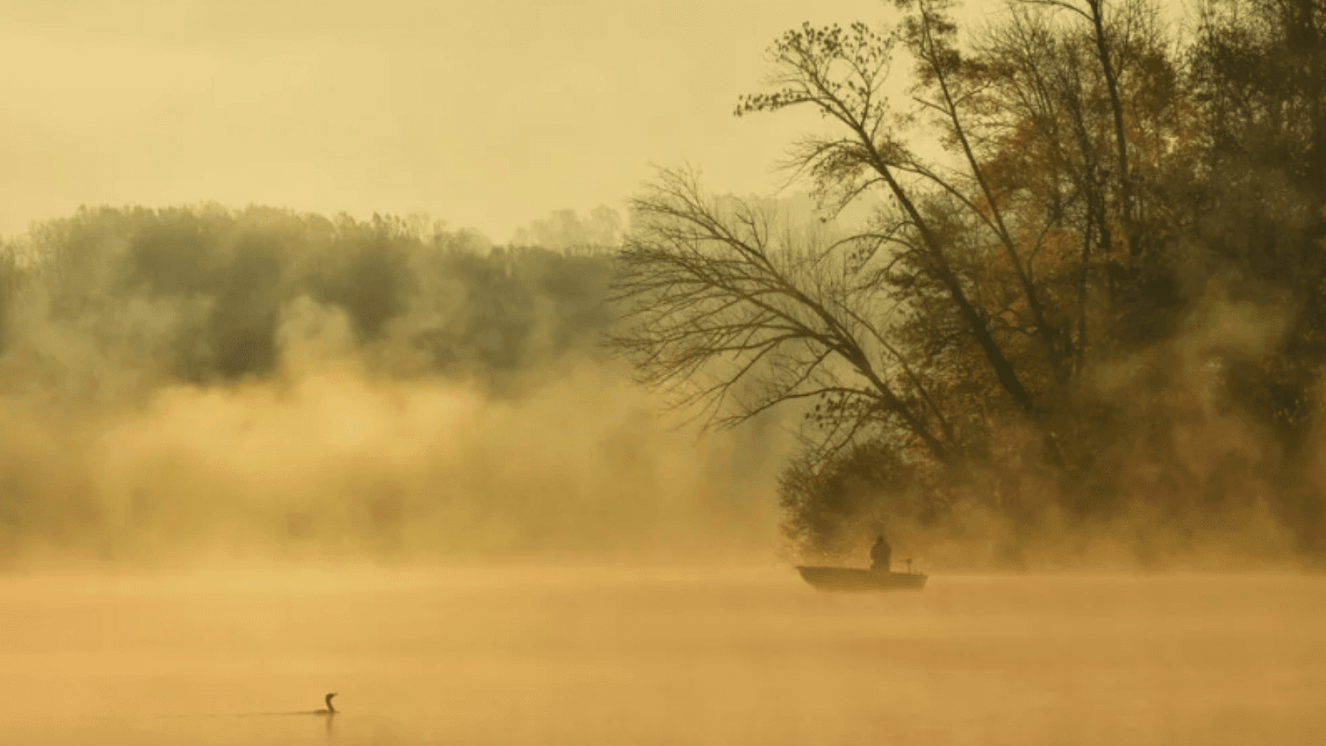 Travel Photographer of the Year Winner 15-18 Category