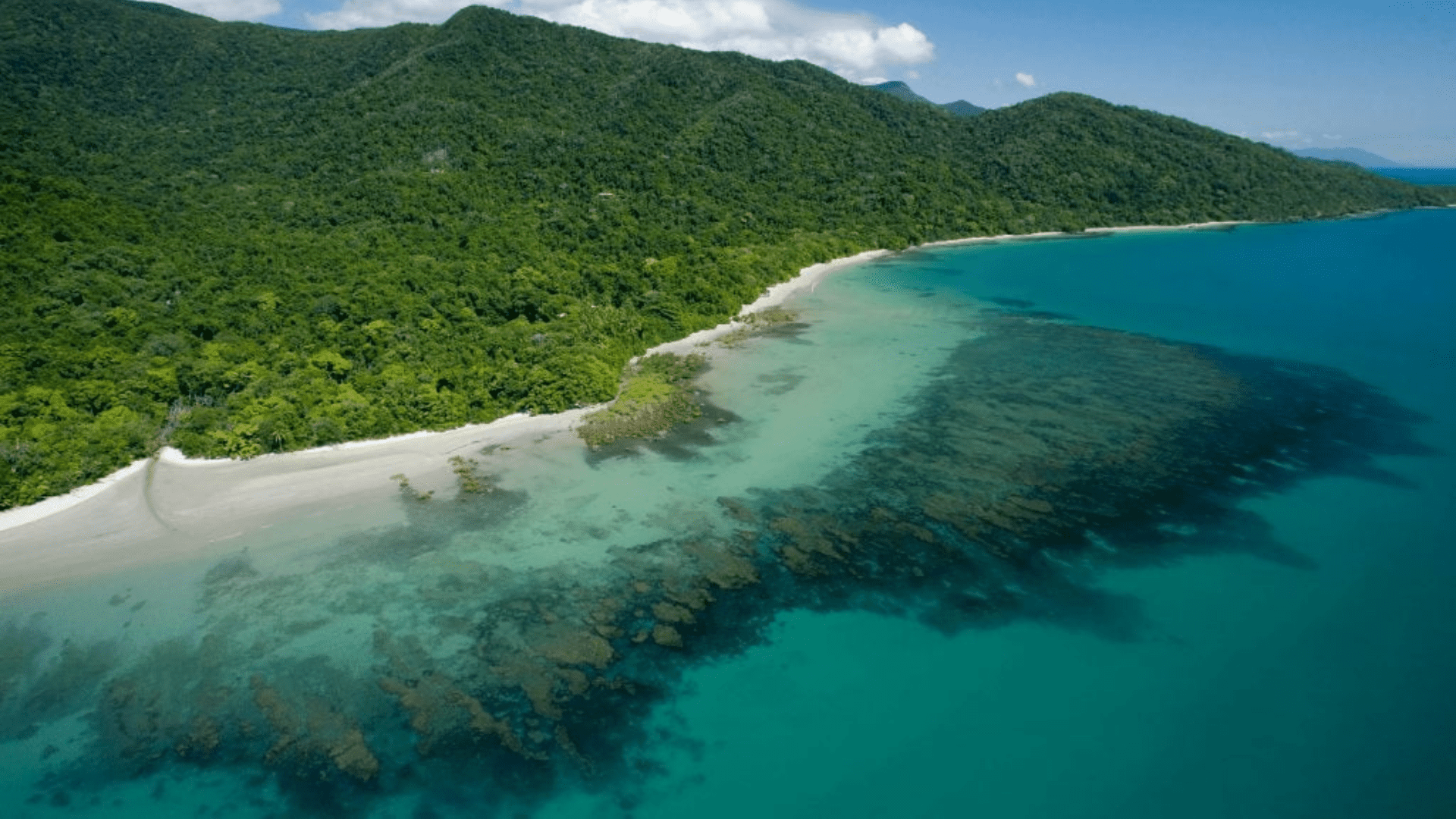Daintree Rainforest connects with Great Barrier Reef