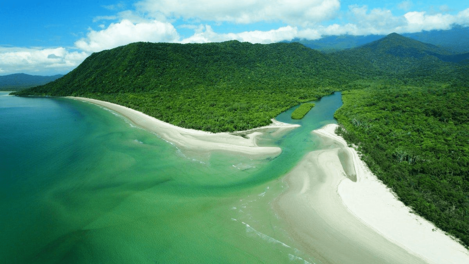 Daintree Rainforest in Australia 