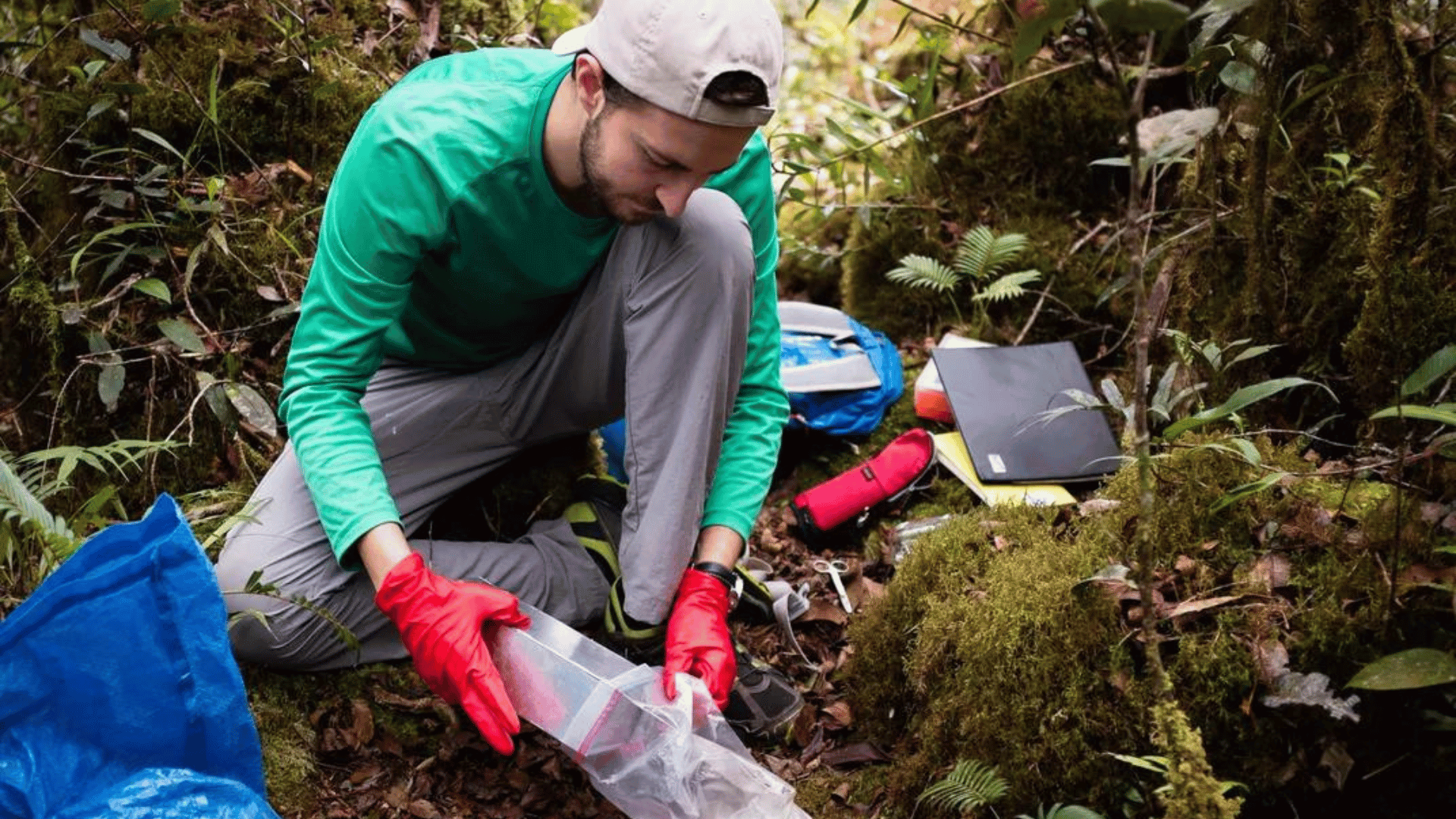 Arlo Hinckley sampling soft-furred hedgehogs and other small mammals in the montane forests of Borneo, Malaysia. Daniel Hinckley