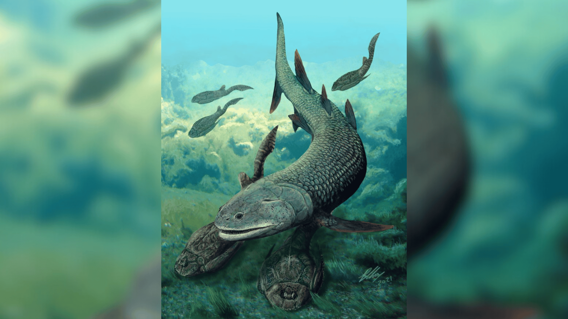 Life reconstruction of Harajicadectes zhumini Credit: Brian Choo, Flinders University