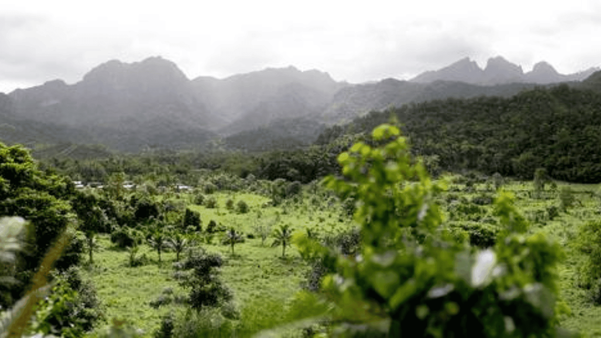 Namosi Village on Viti Levu Island, Fiji James Dorey Photography