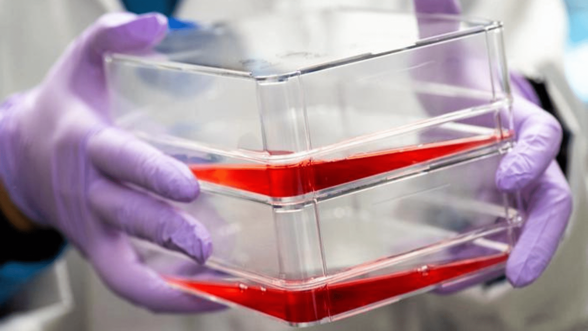 Growth factors in surrounding liquids 