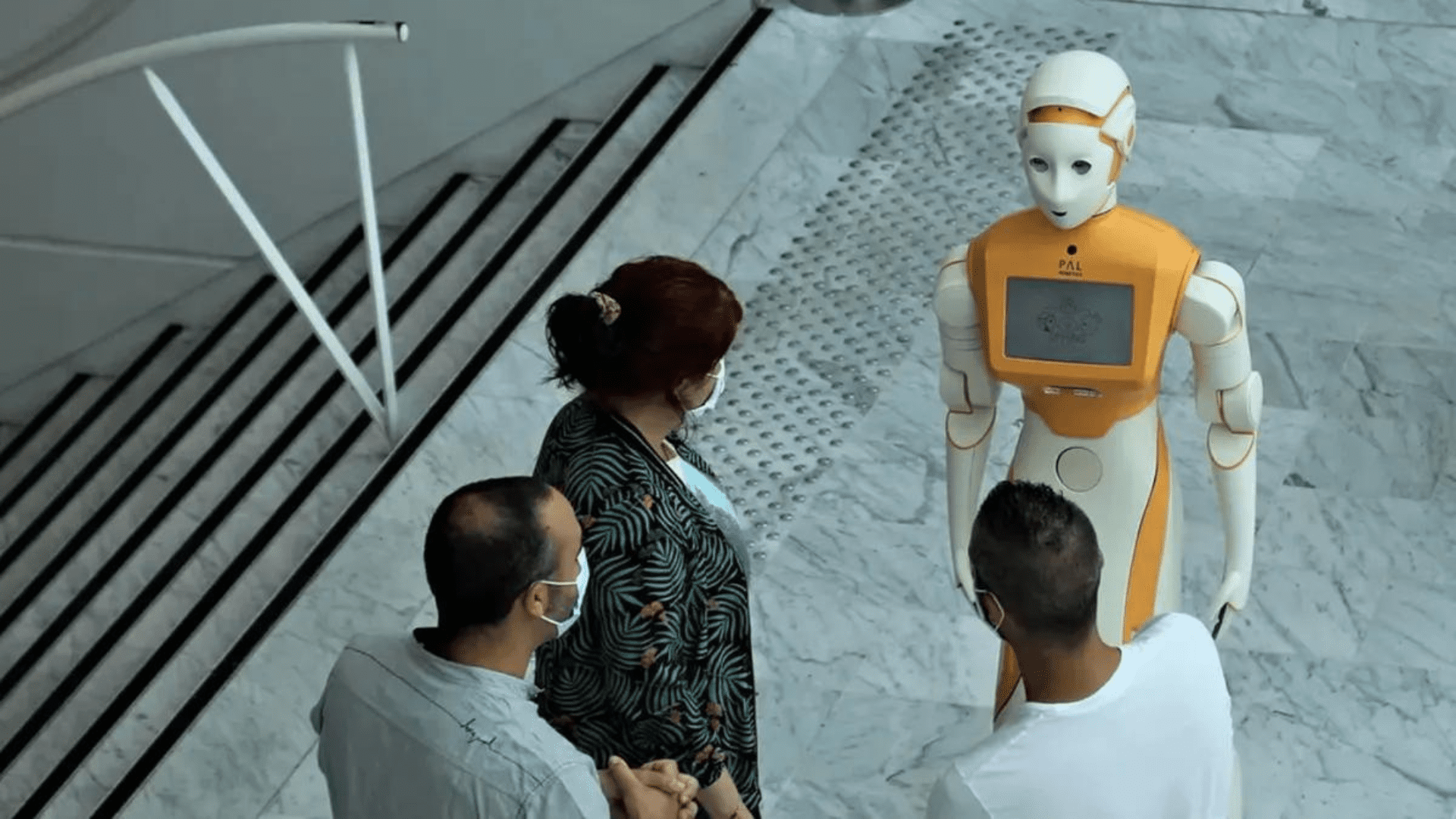 Socially assistive robot 