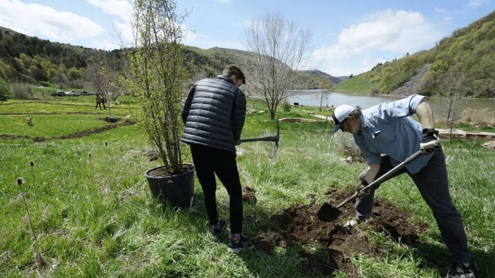 At the Maple Grove Hot Springs & Retreat Center, in southeast Idaho, guests can sign up for invasive plant removal, trail development or tree planting.Credit...Maple Grove