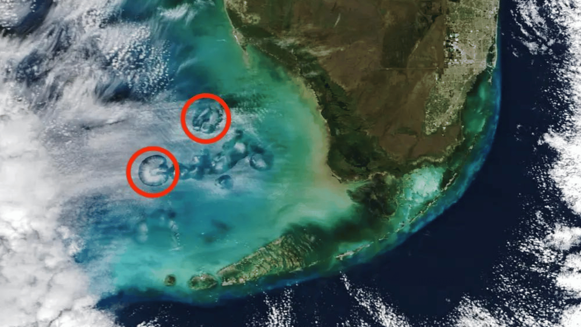 NASA Earth Observatory image by Michala Garrison, using MODIS data from NASA EOSDIS LANCE and GIBS:Worldview