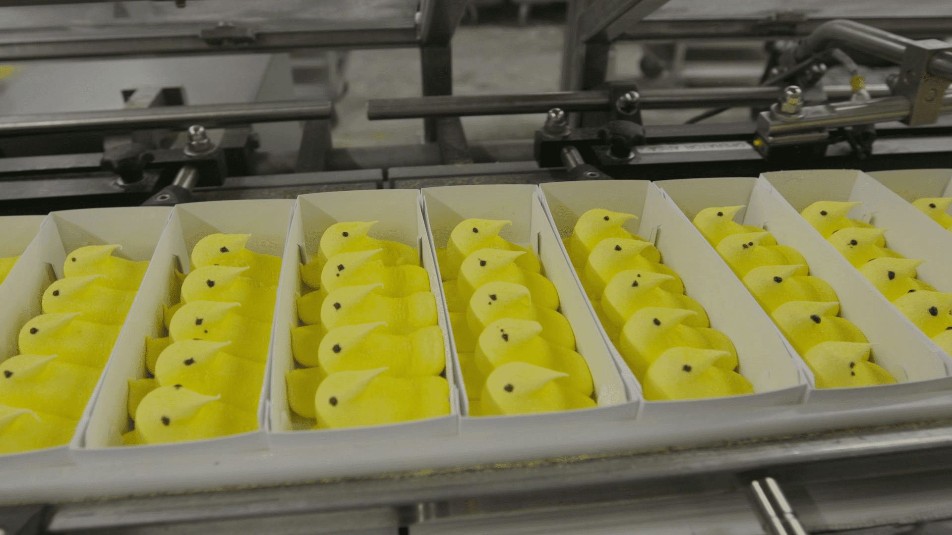 Peeps Manufacturing Process Machines CHELSEA LUPKIN