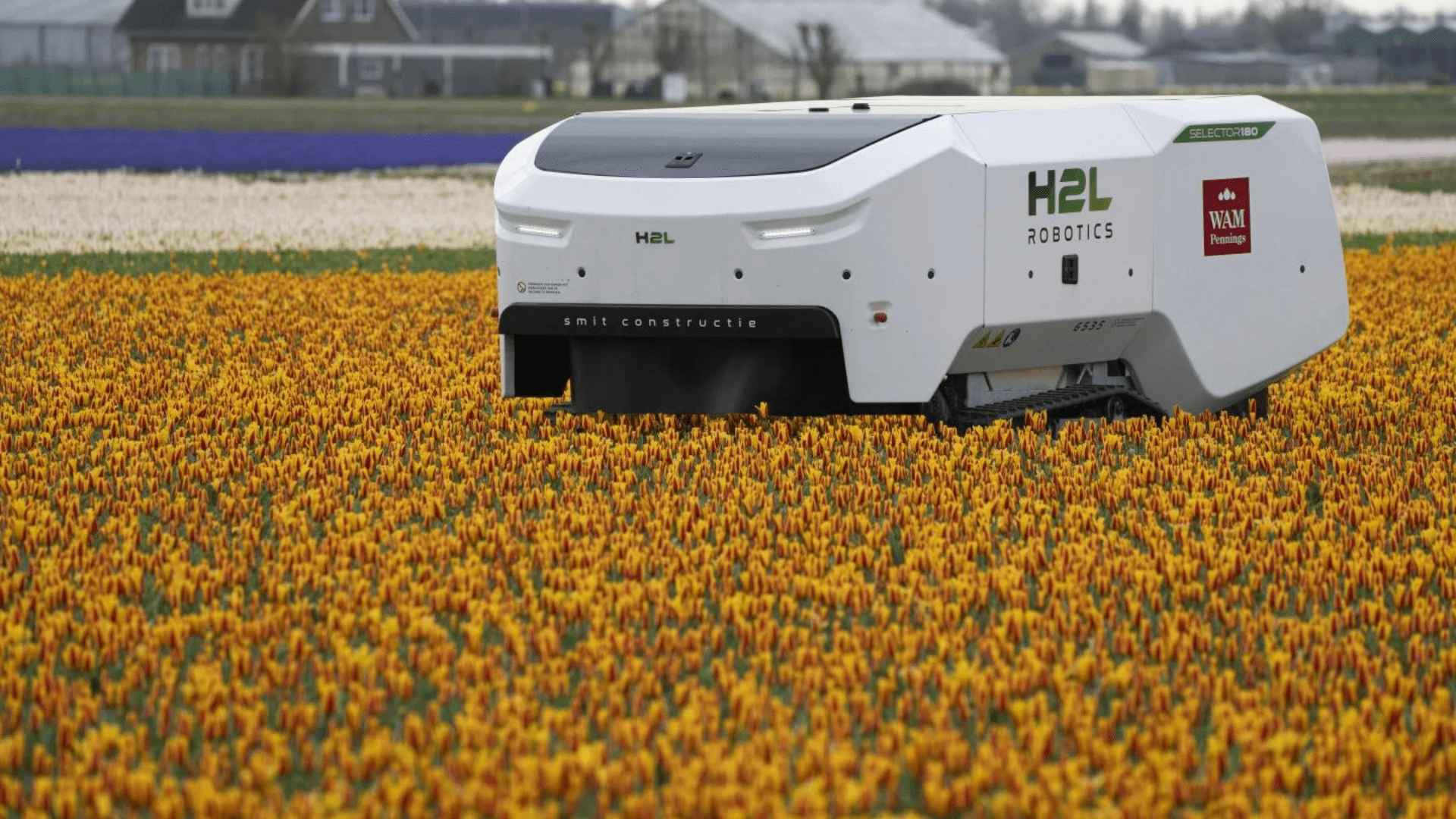 Robot scans tulip fields