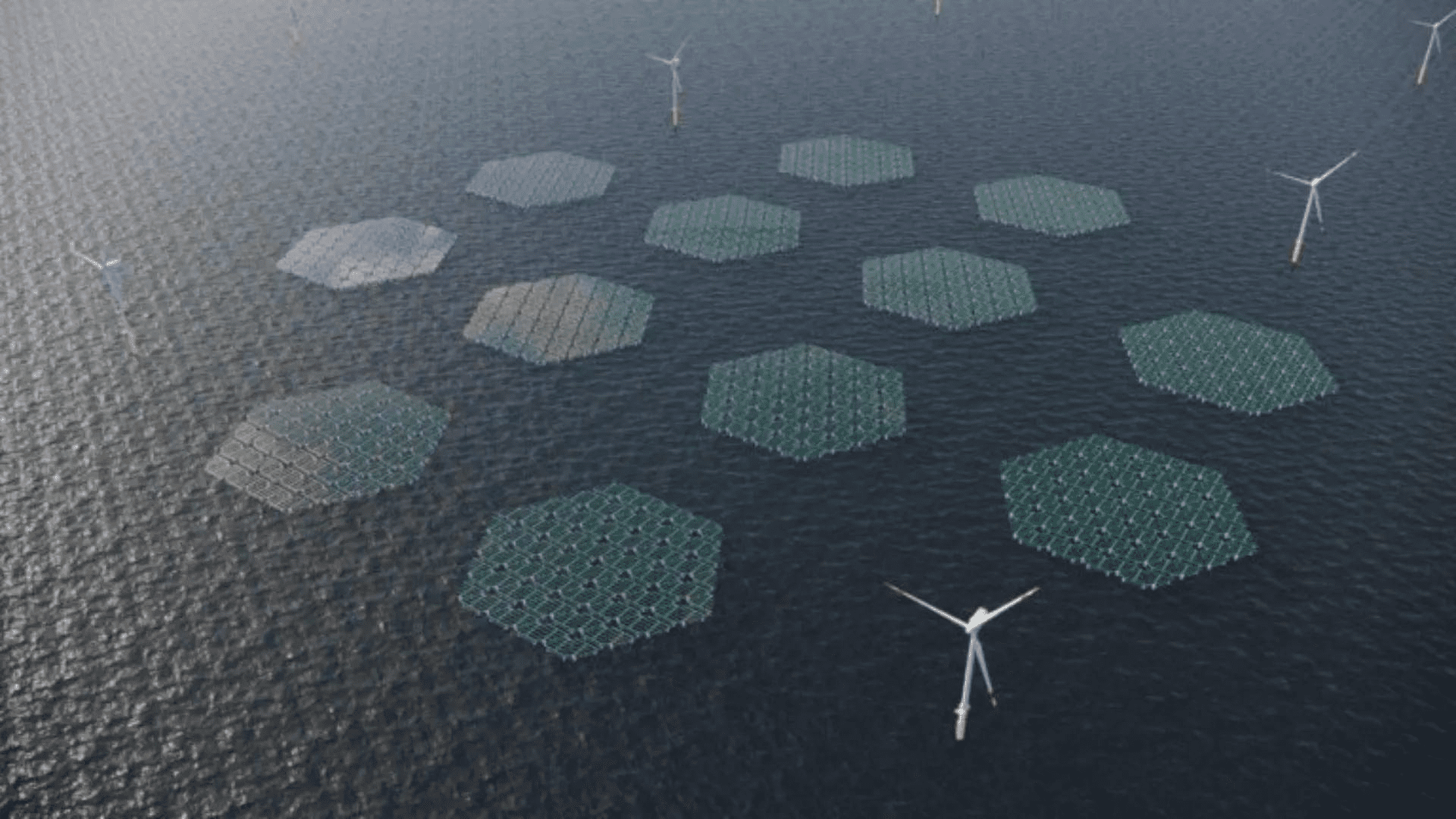 World's largest offshore solar plant