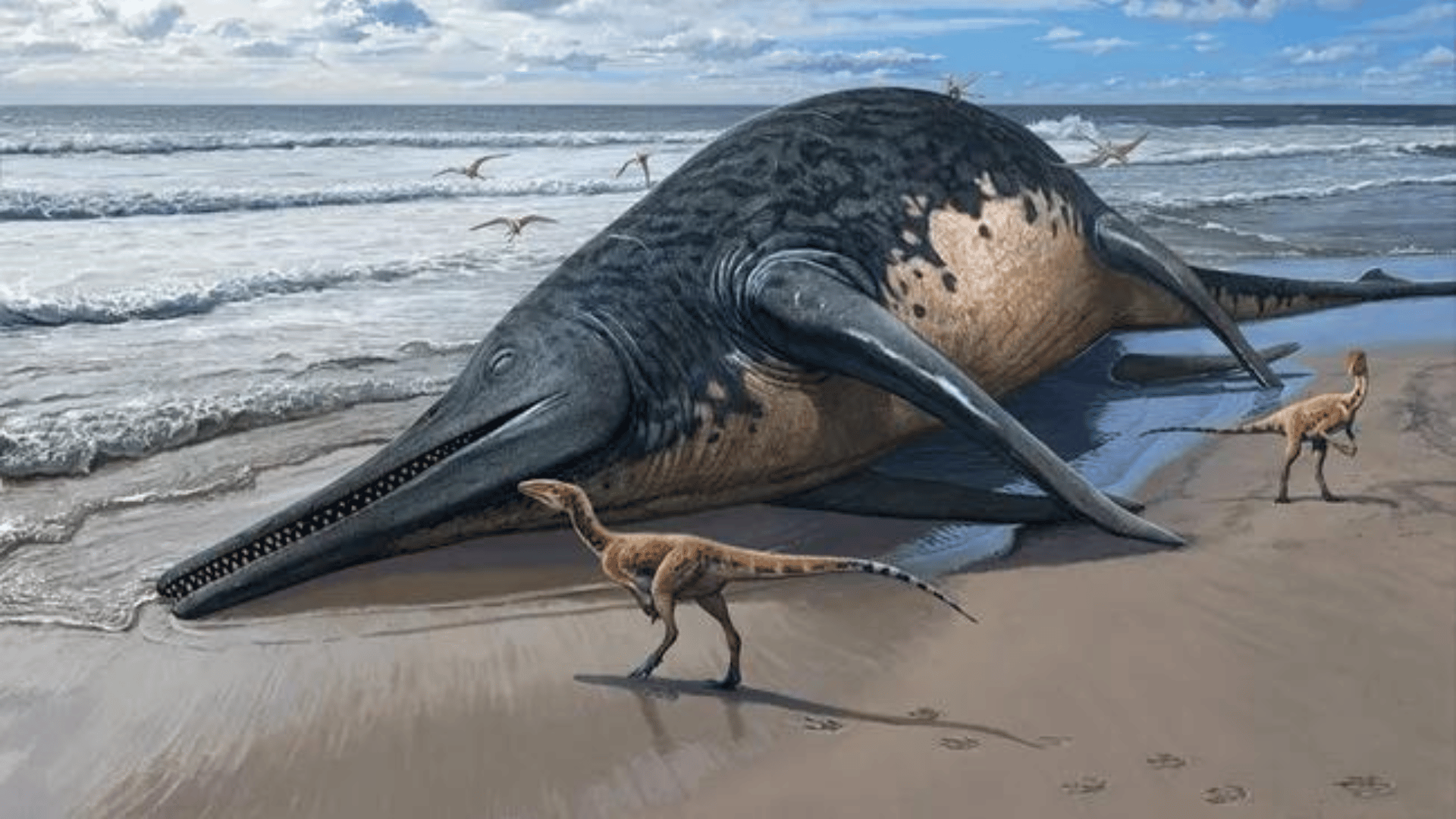 Los investigadores han descubierto fósiles de un antiguo “pez lagarto gigante” que medía 82 pies de largo.