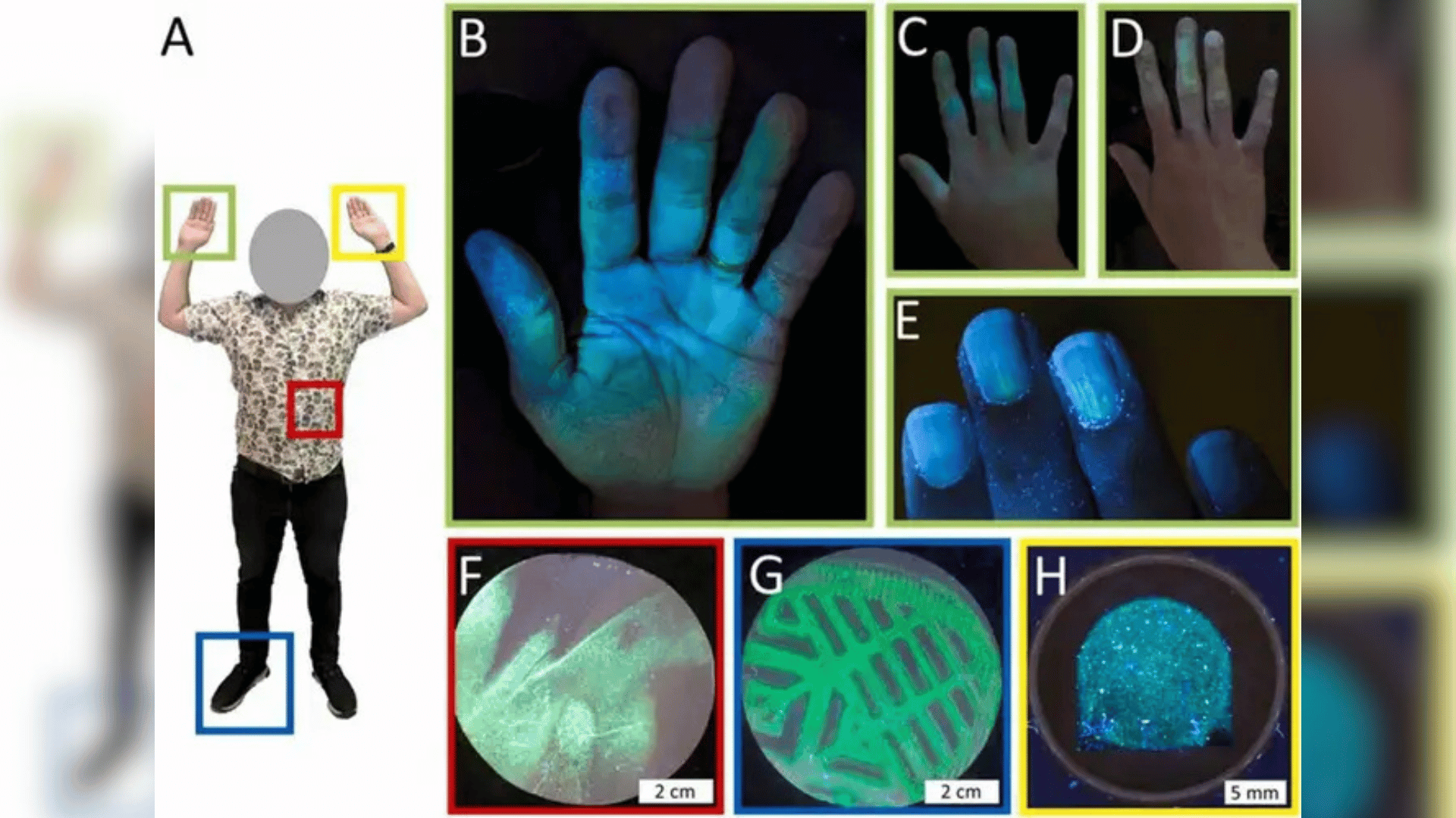 Photoluminescent lead detection in gunshot residue – Forensic Science International Photoluminescent lead detection in gunshot residue – Forensic Science International