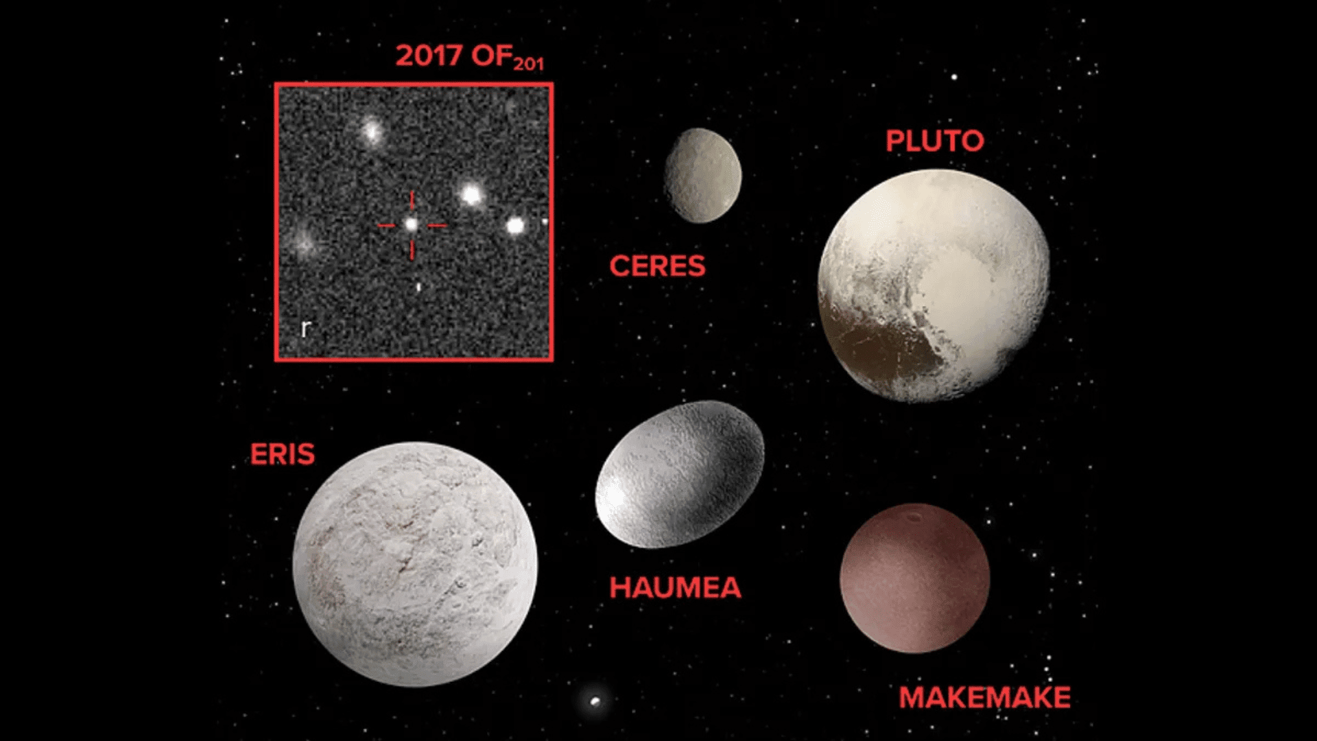 A new dwarf planet