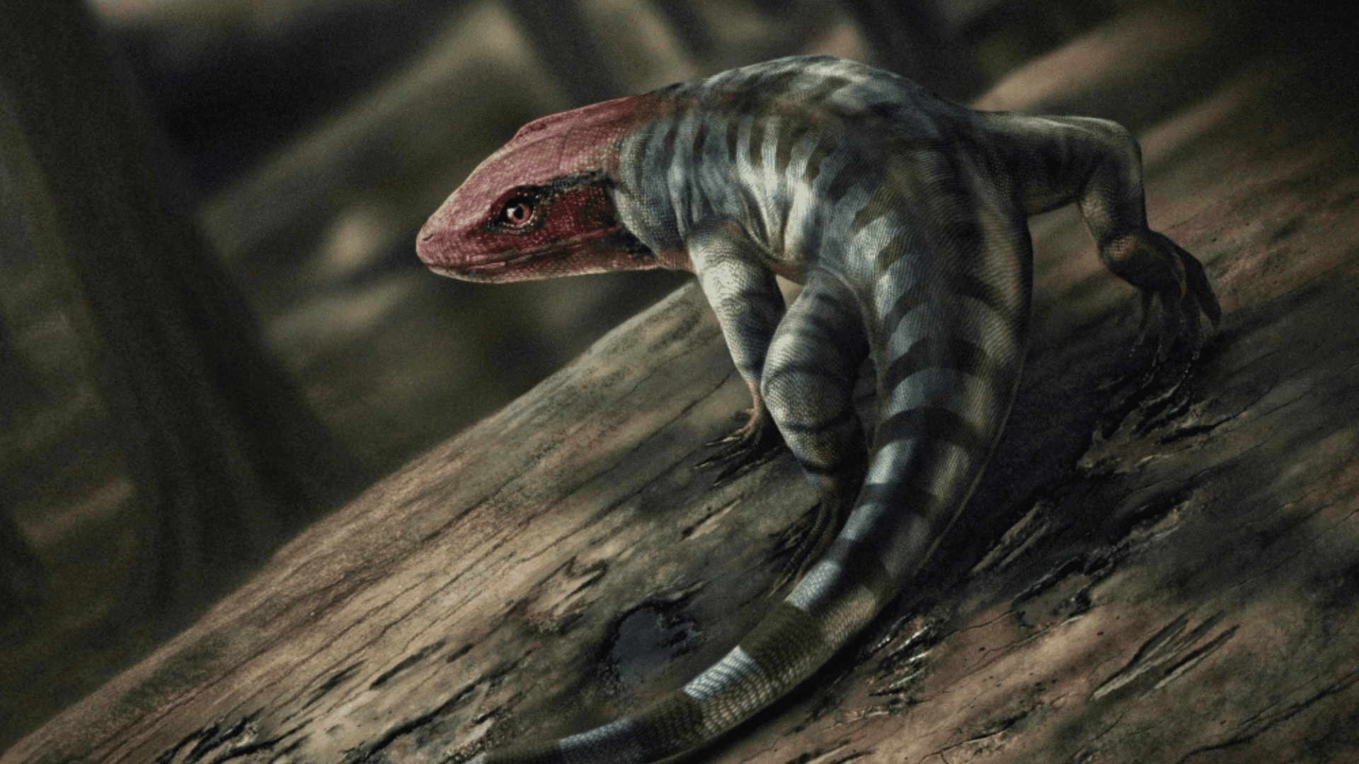 An artist's illustration of the possible appearance of a reptile-like creature that lived around 350 million years ago; Photo: Marcin Ambrozik : Prof. Per Erik Ahlberg via AP