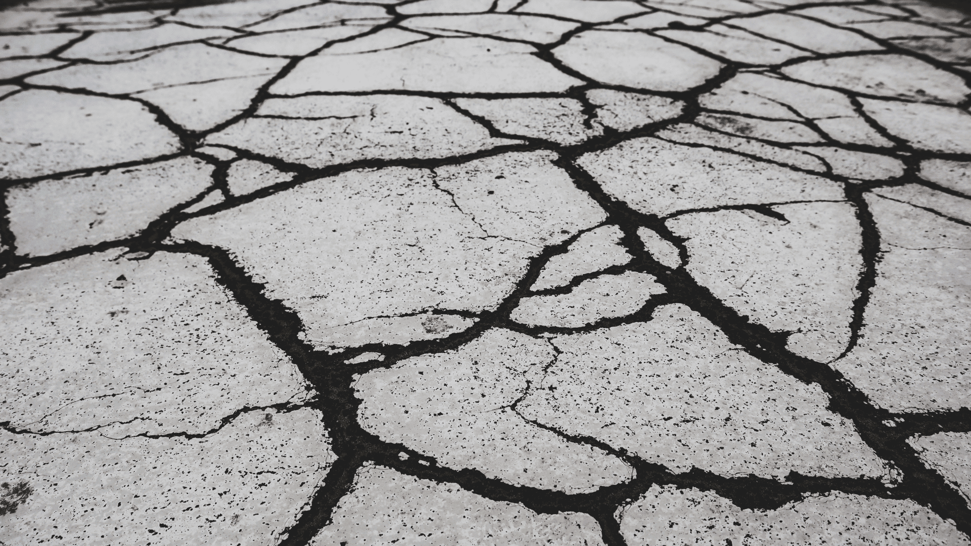 Earthquakes Earthquakes