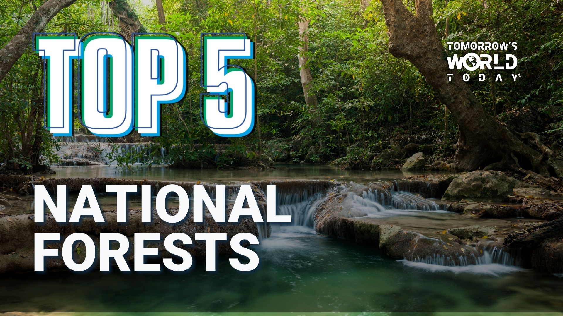 National Forests