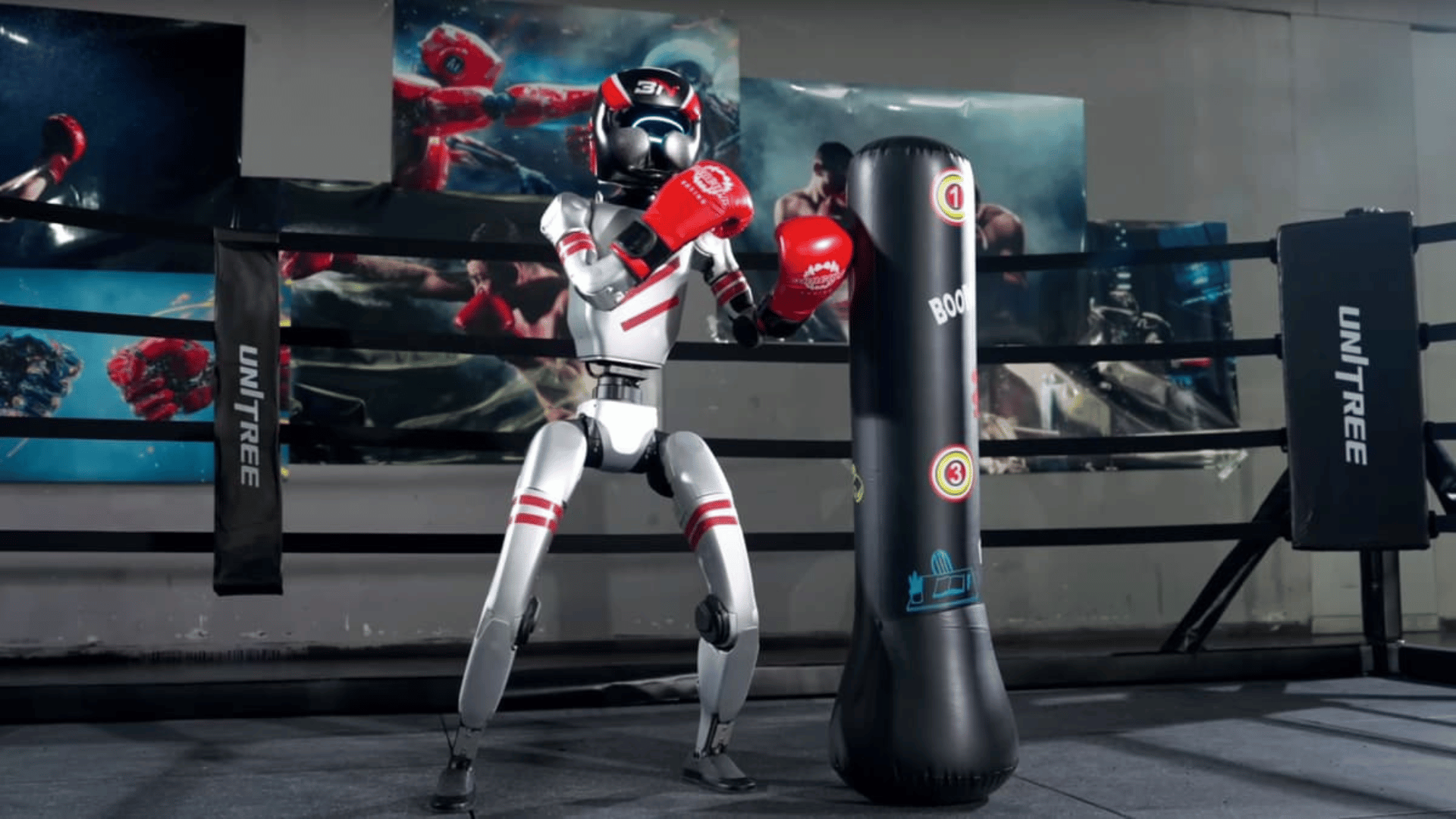 The robots underwent extensive training to ensure combat readiness. Unitree:YouTube