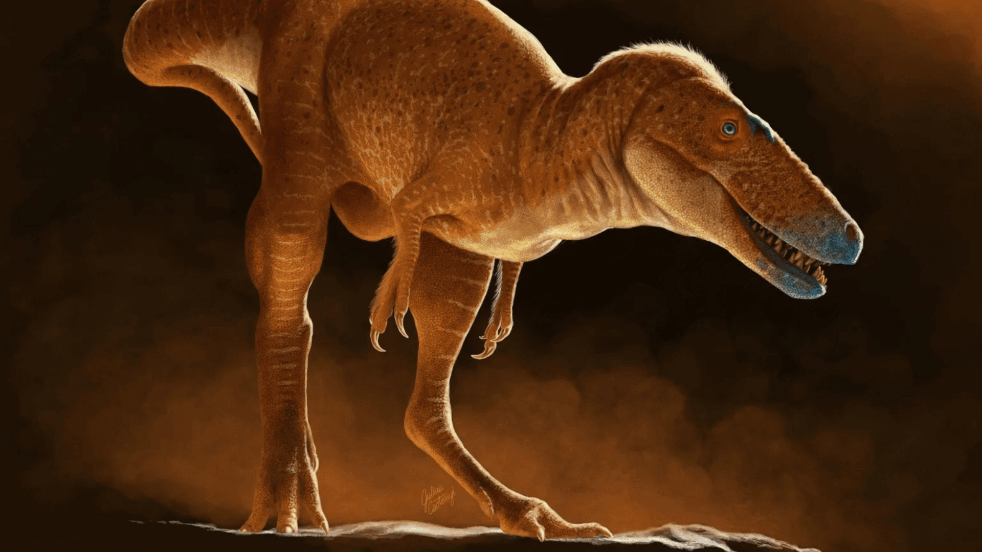 An artist's impression of the newly-discovered dinosaur; Photo: Julius Csotonyi