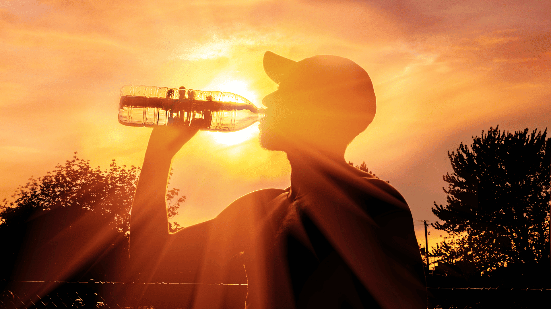 hot summer energy efficiency keeping cool