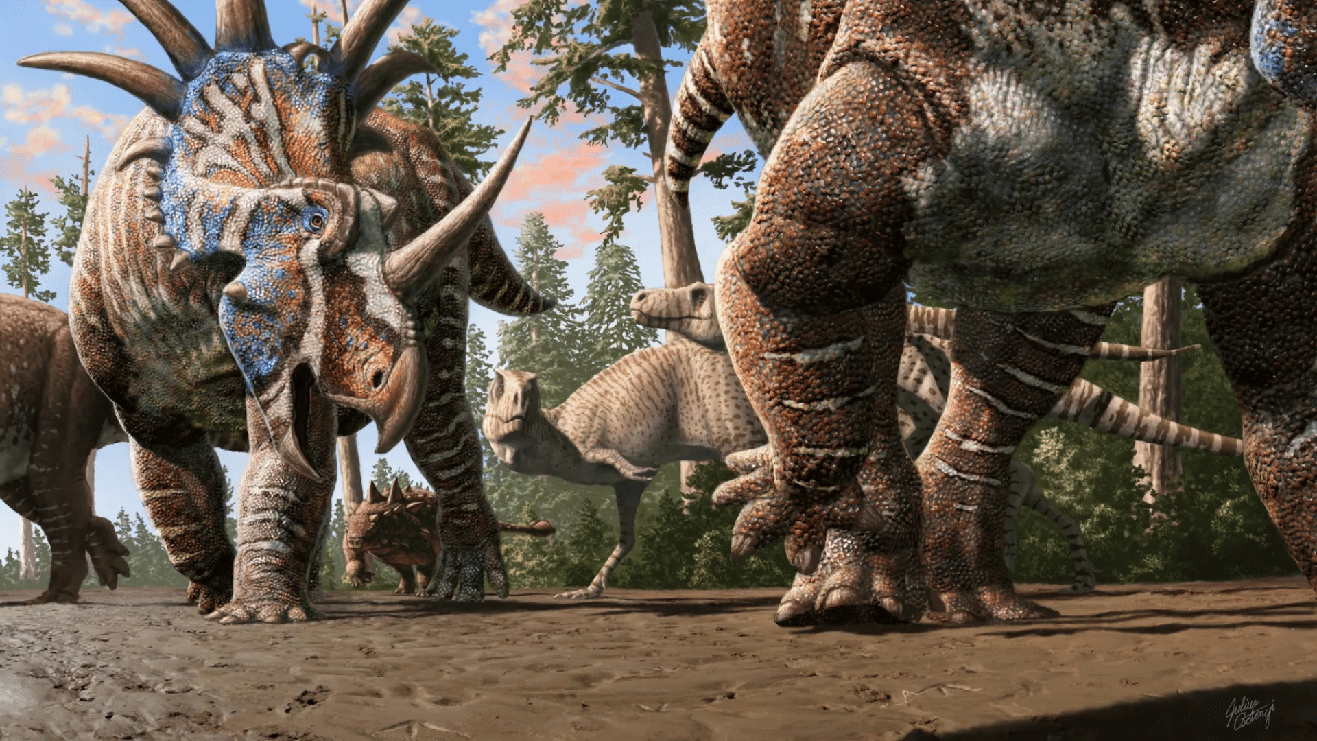 A herd of ceratopsians accompanied by an ankylosaur walk through an old river channel under the watchful eyes of two tyrannosaurs; Photo: Julius Csotonyi