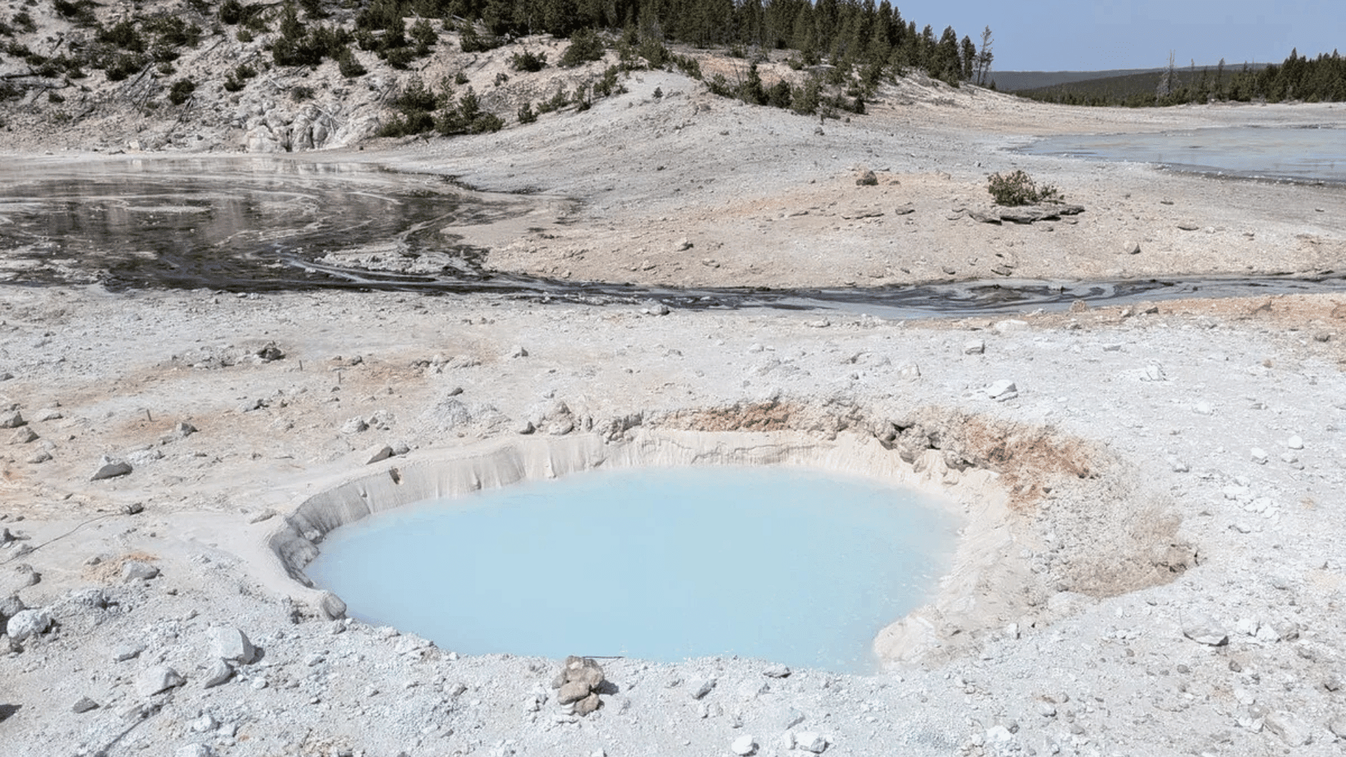 A new thermal pool in the Porcelain Basin area of Norris Geyser Basin, Yellowstone National Park. Image credit: Mike Poland:USGS (public domain)