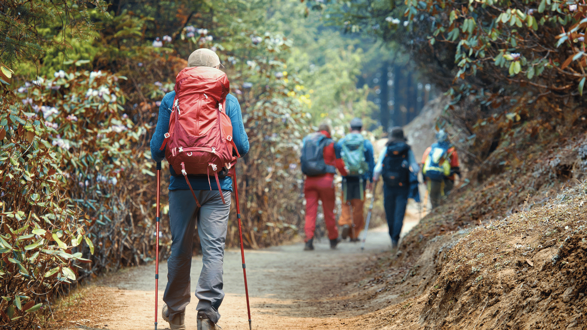 People walking