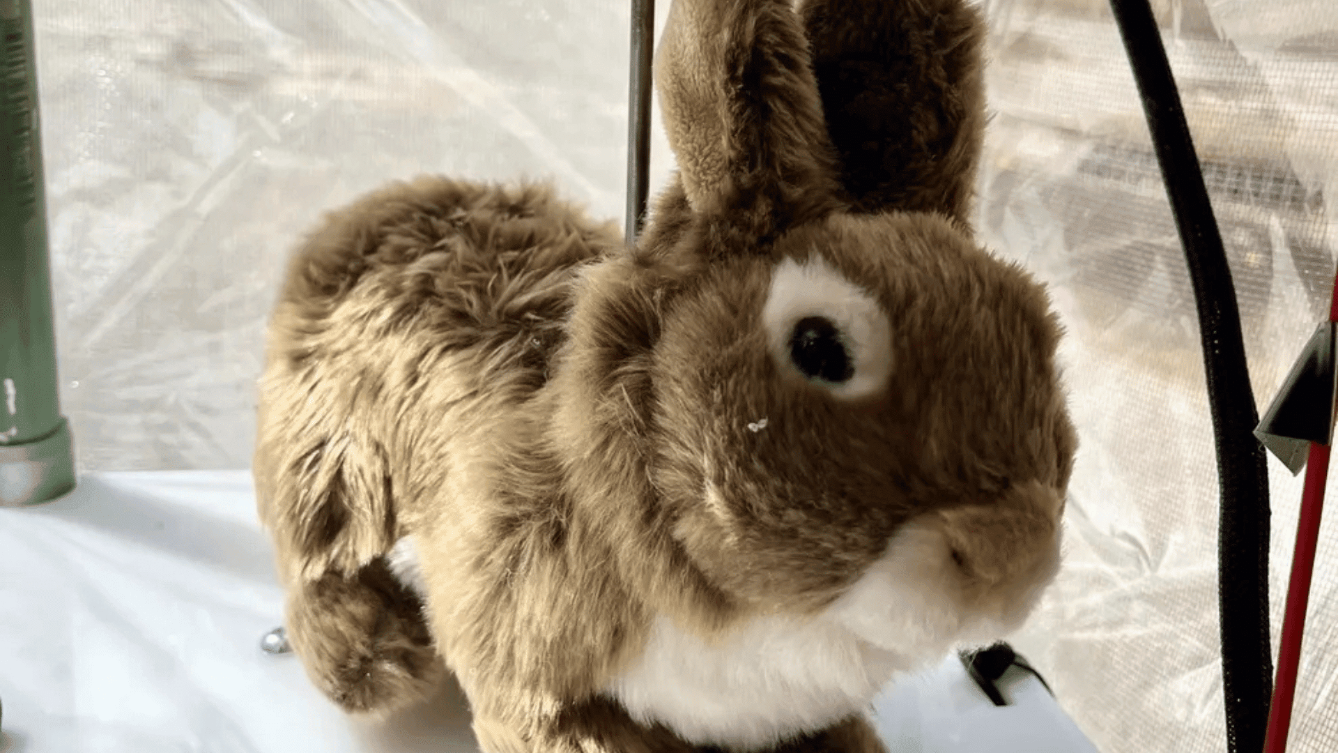 Robot bunnies