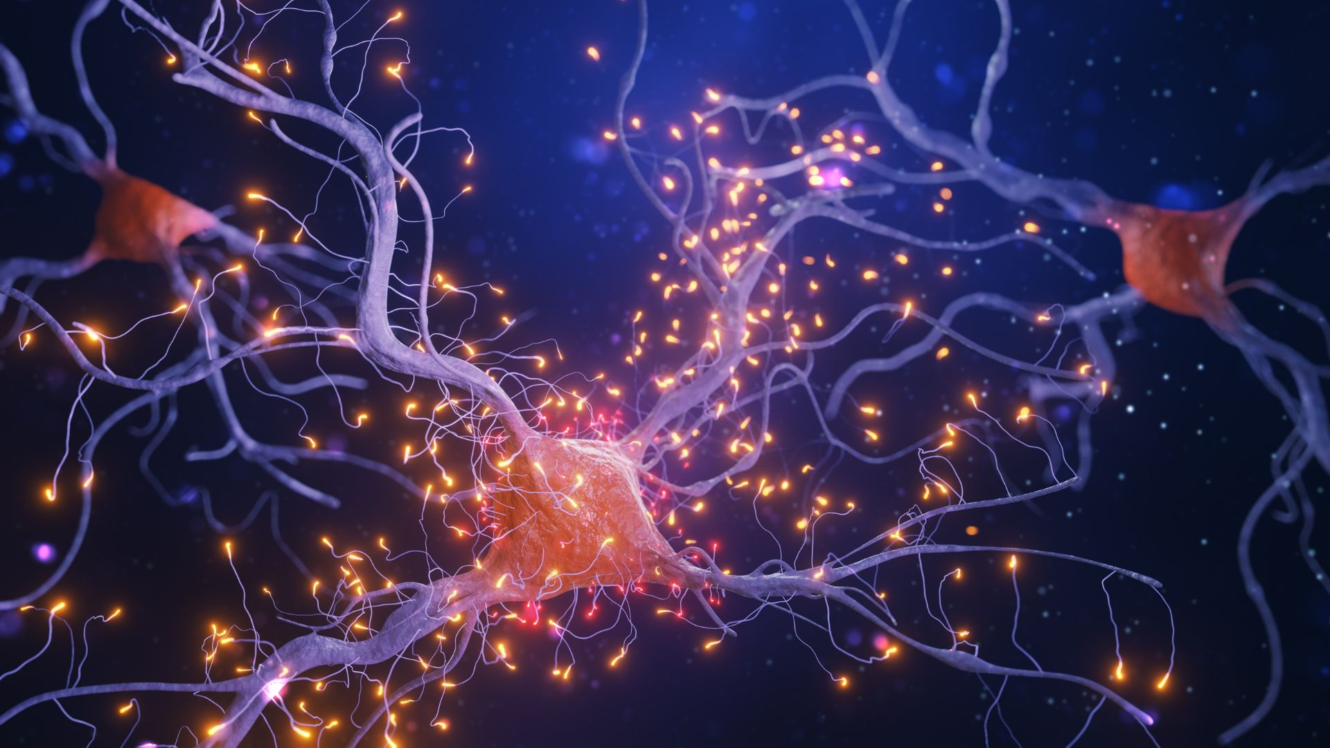 benefits of nanoflowers improve brain cell health combat oxidative stress