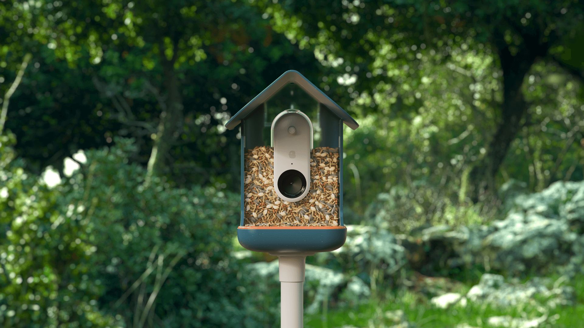 BirdBuddy bird feeder