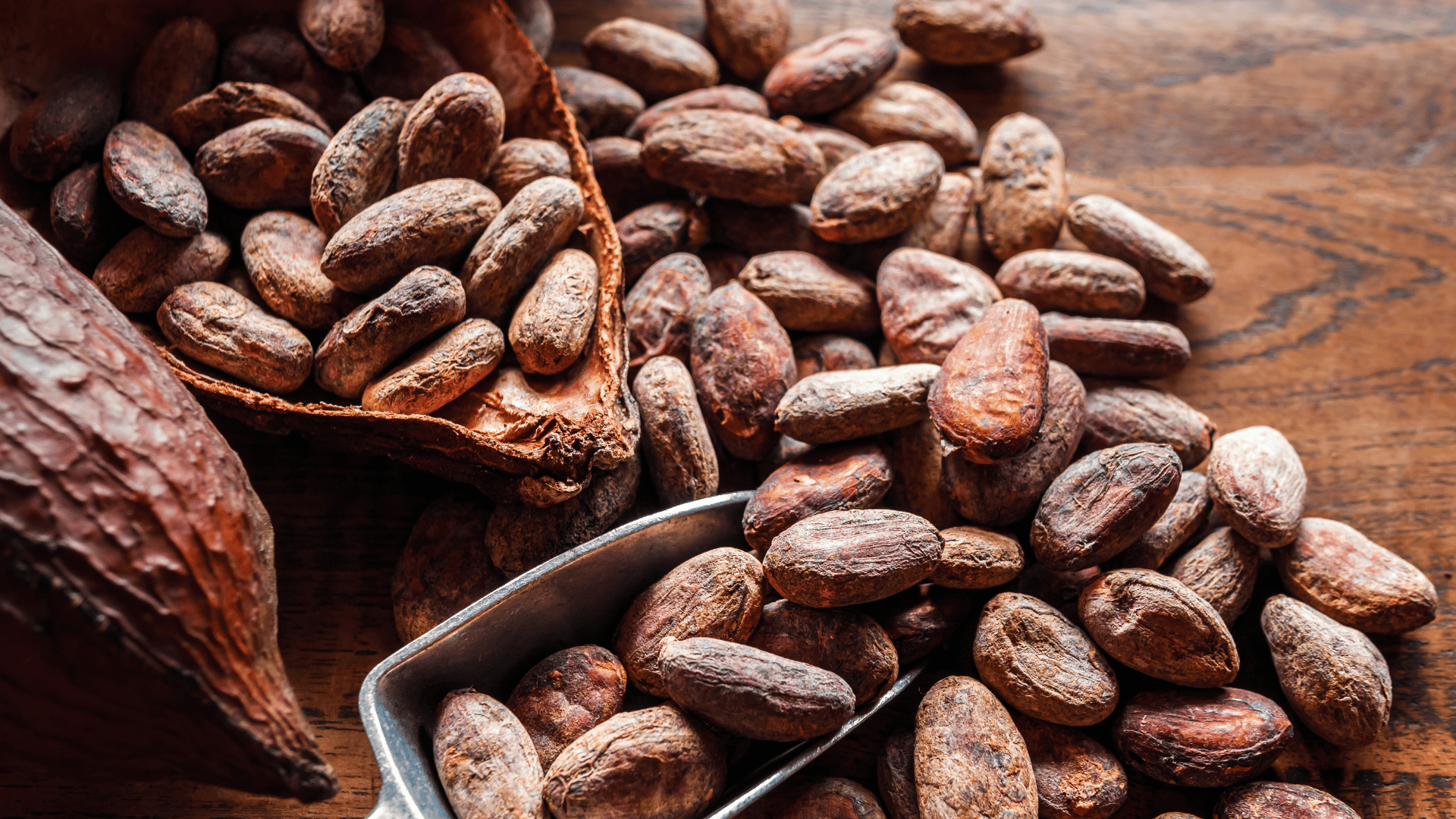 Cocoa beans; Photo:Narong Khueankaew:Shutterstock