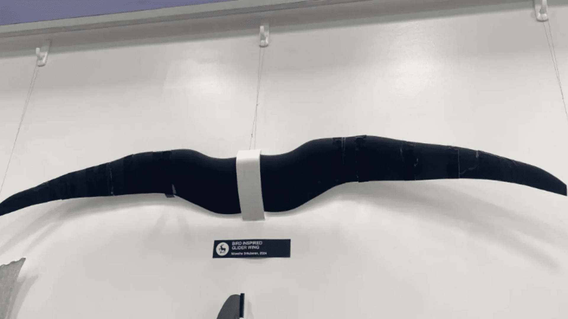 Owl-inspired drone; Photo: University of Surrey