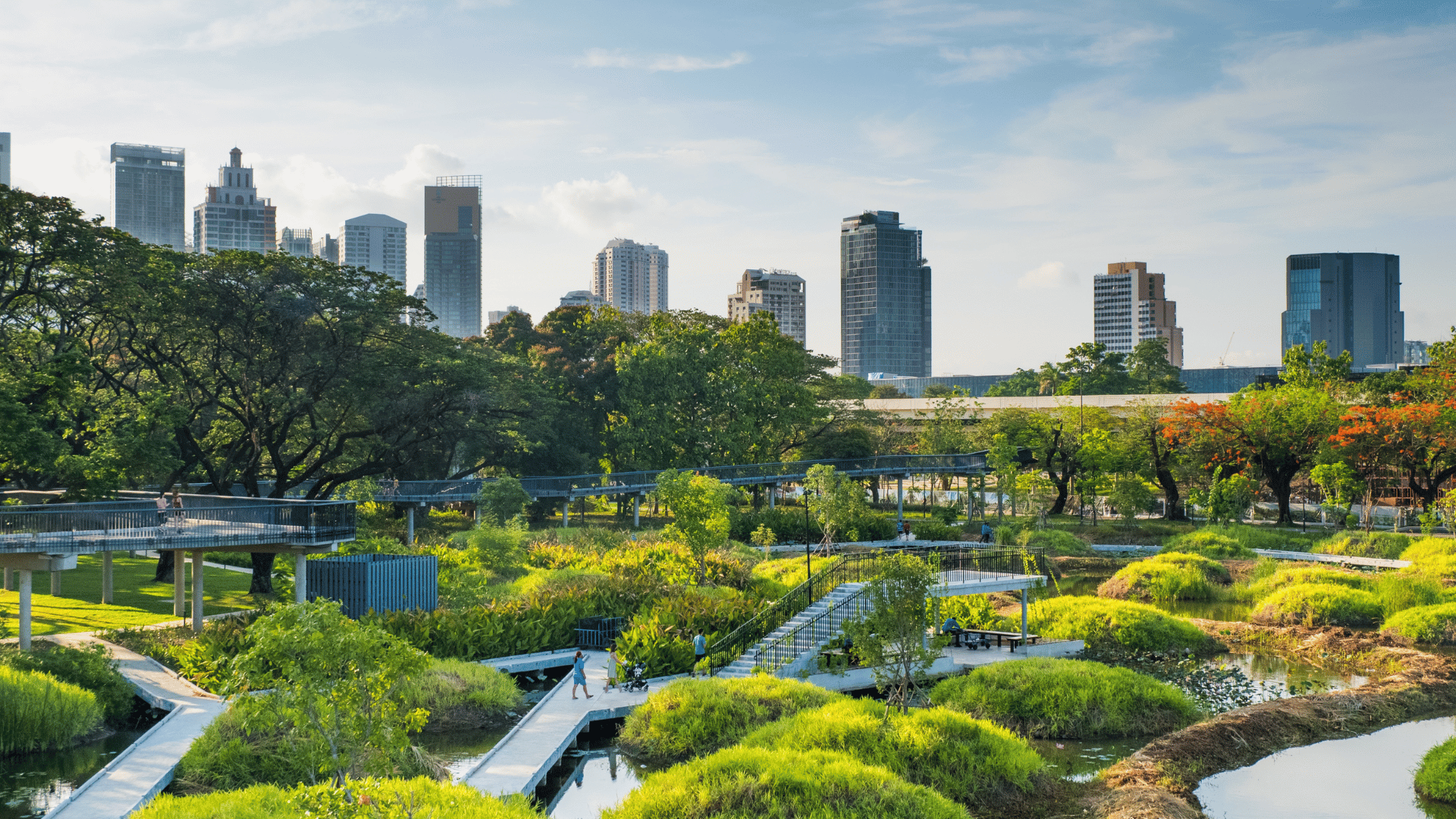 Urban forests; Photo: gothiclolita:Shutterstock