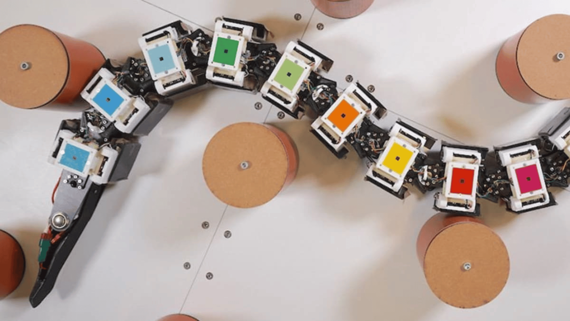 Eel-like robot designed for the study. Tohoku University