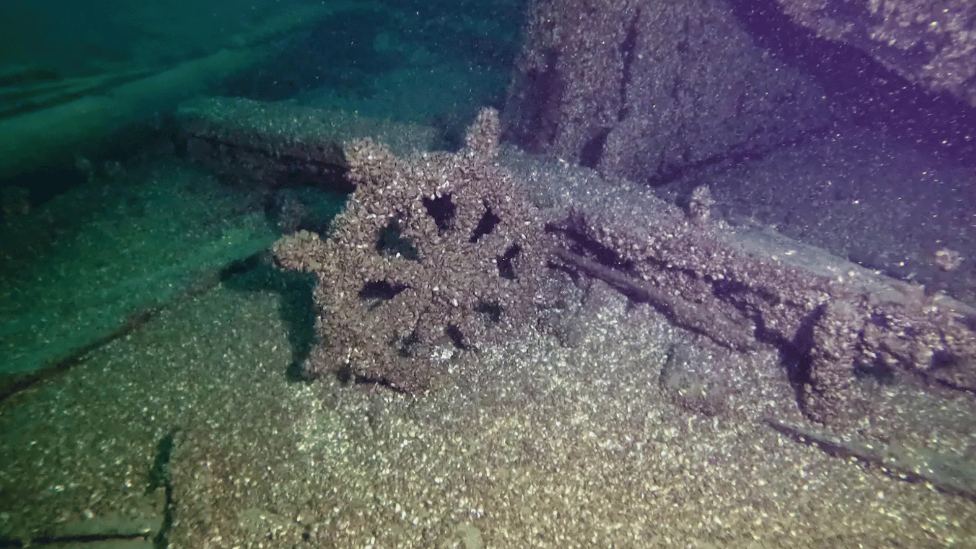 F.J. King Ship; Photo: Tamara Thomsen, Wisconsin Historical Society