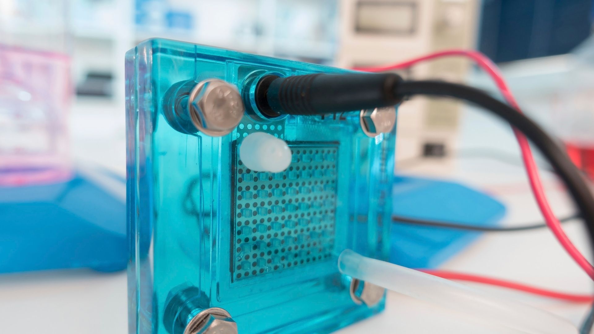 Fuel cell representative image; Photo: Science Photo Library:Canva