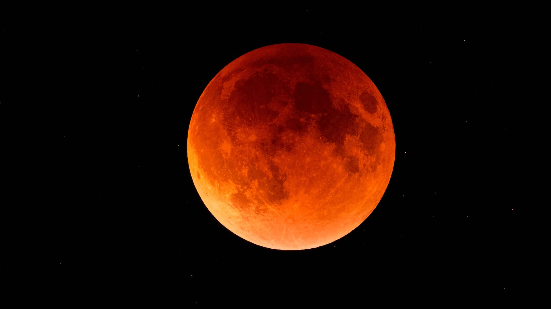 Lunar Eclipse Blood Moon; Photo: Chris Harwood:Shutterstock