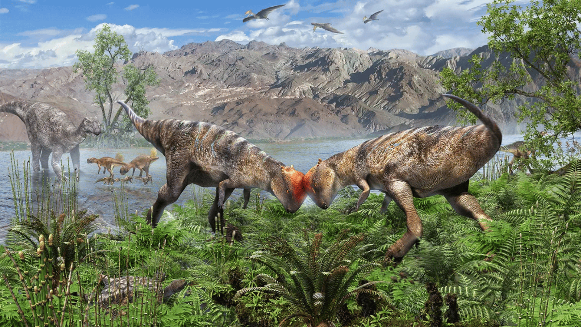 Oldest-known dome-headed dinosaur fossil discovered; Image credit: Masaya Hattori