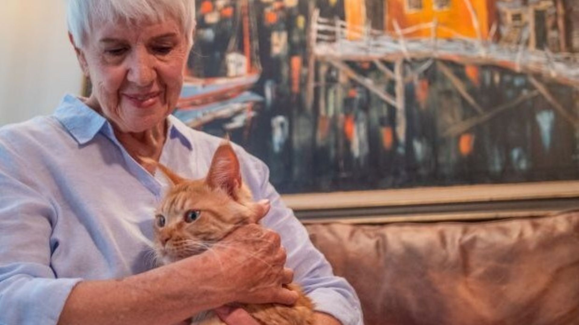 When Louie was lost, Sharon turned to Love Lost, a free, easy to use, national database powered by AI photo-matching technology that has reunited more than 140,000 lost pets with their families.