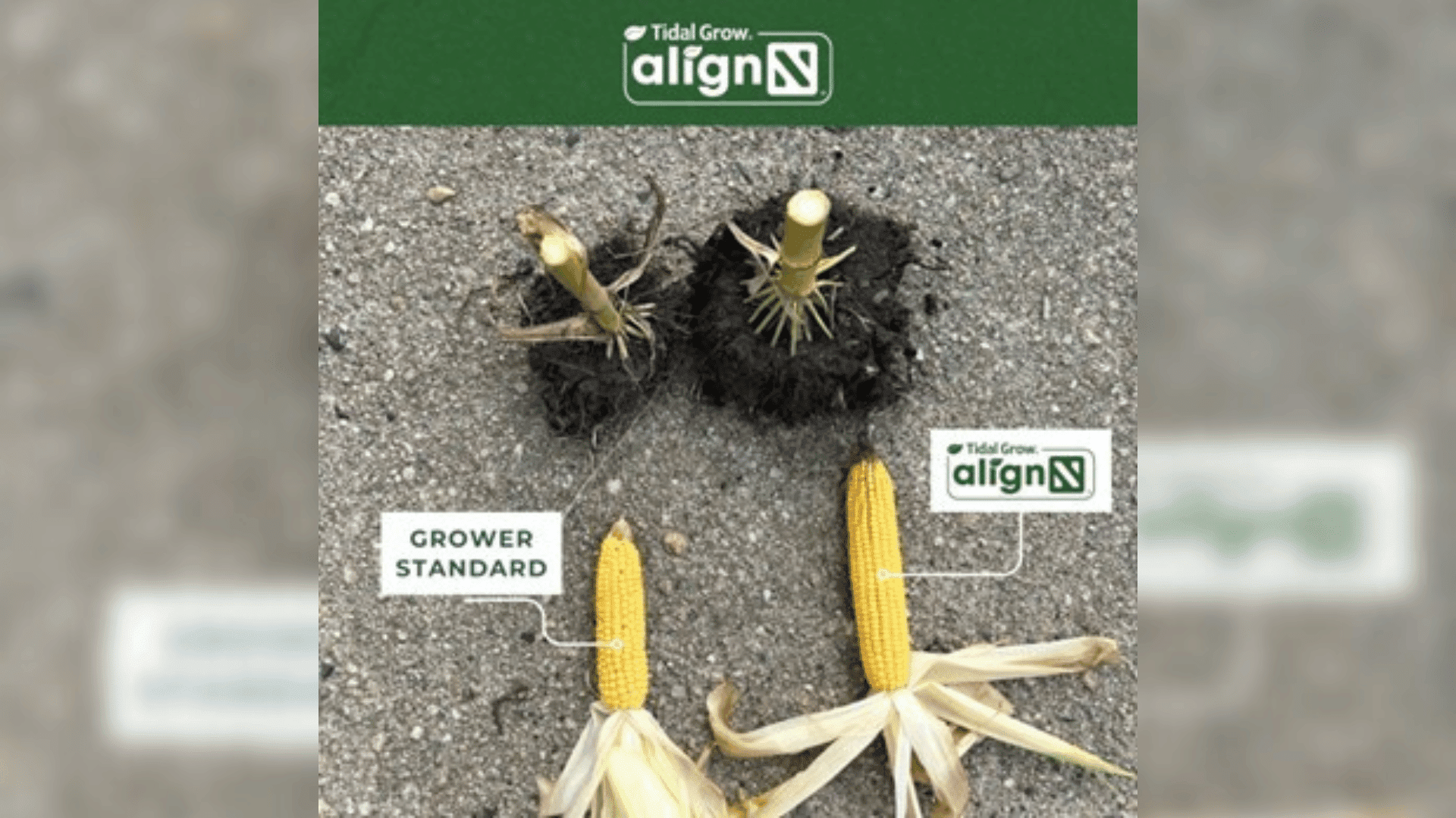 Tidal Grow® AgriScience