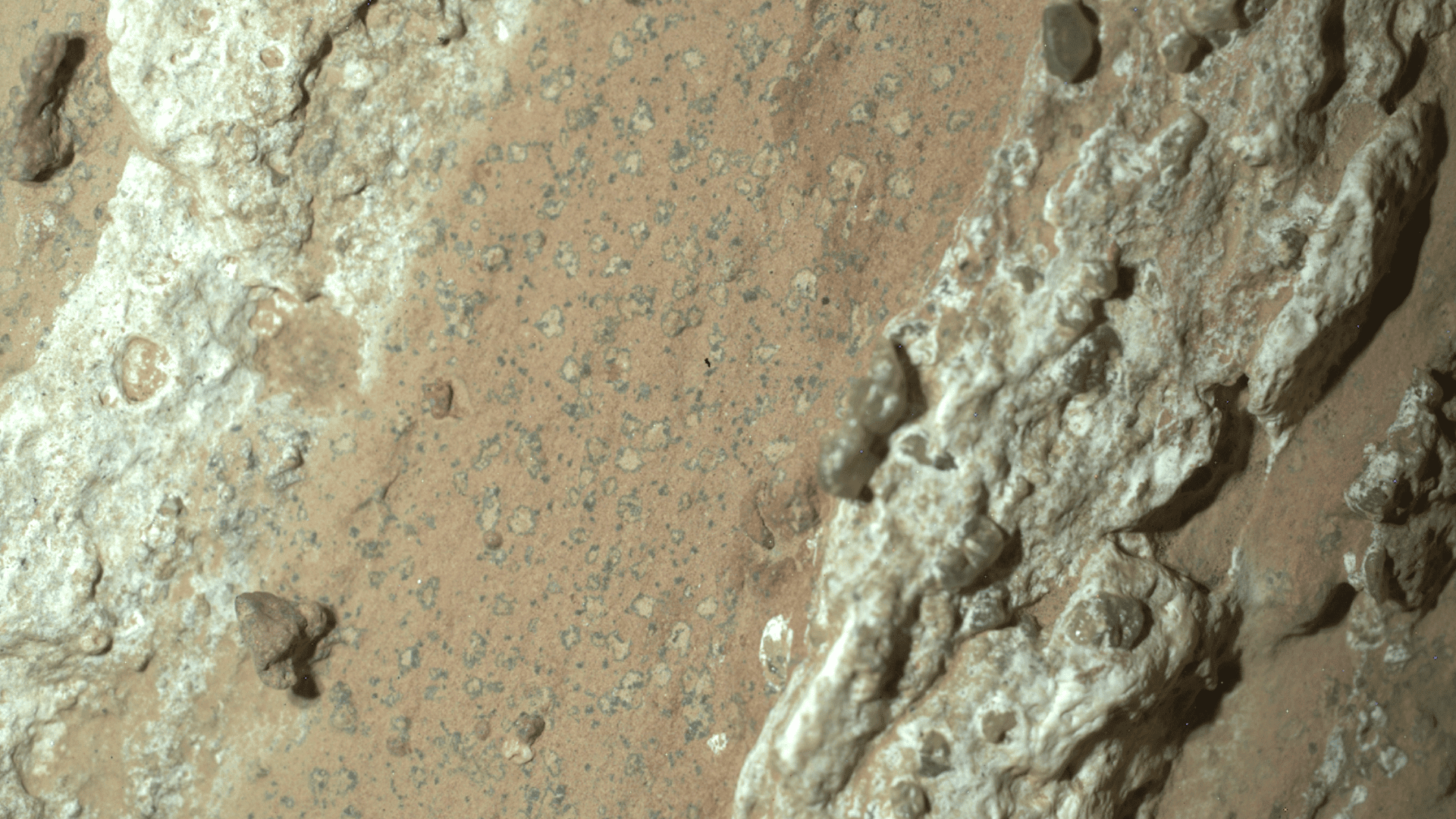 The rock that NASA's Mars Rover discovered, which indicates strong evidence of life