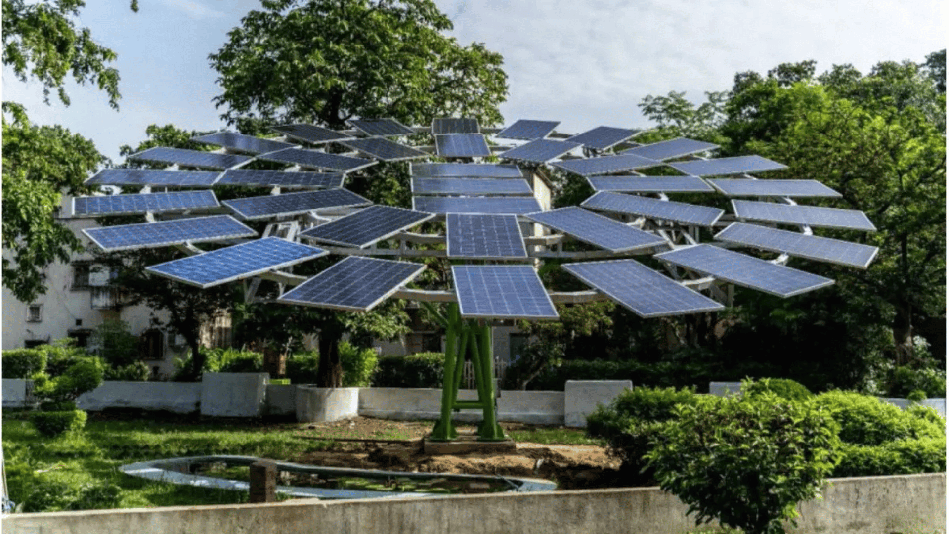 Solar trees representational image; Photo: ScienceDirect