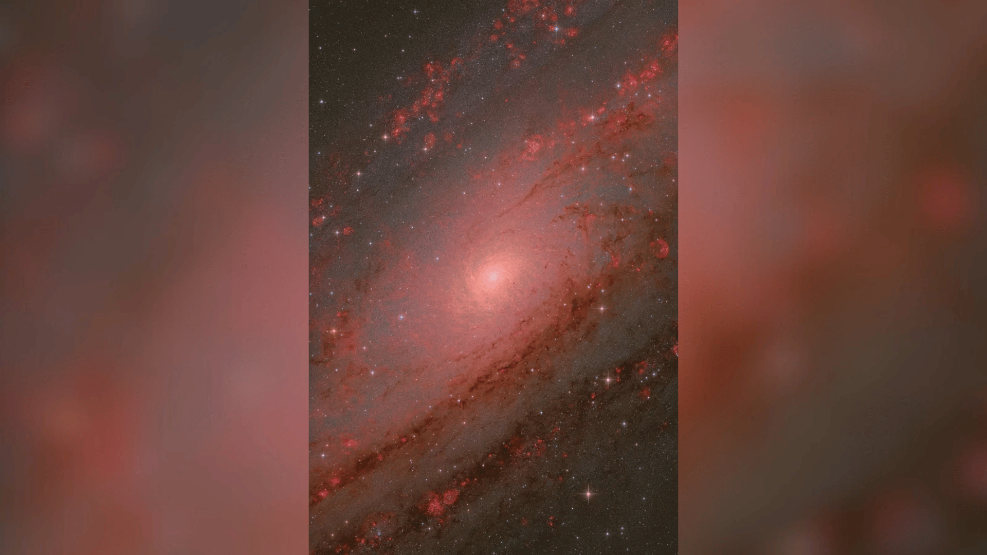 The Andromeda Core; Photo: © Weitang Liang, Qi Yang, Chuhong Yu The Andromeda Core; Photo: © Weitang Liang, Qi Yang, Chuhong Yu