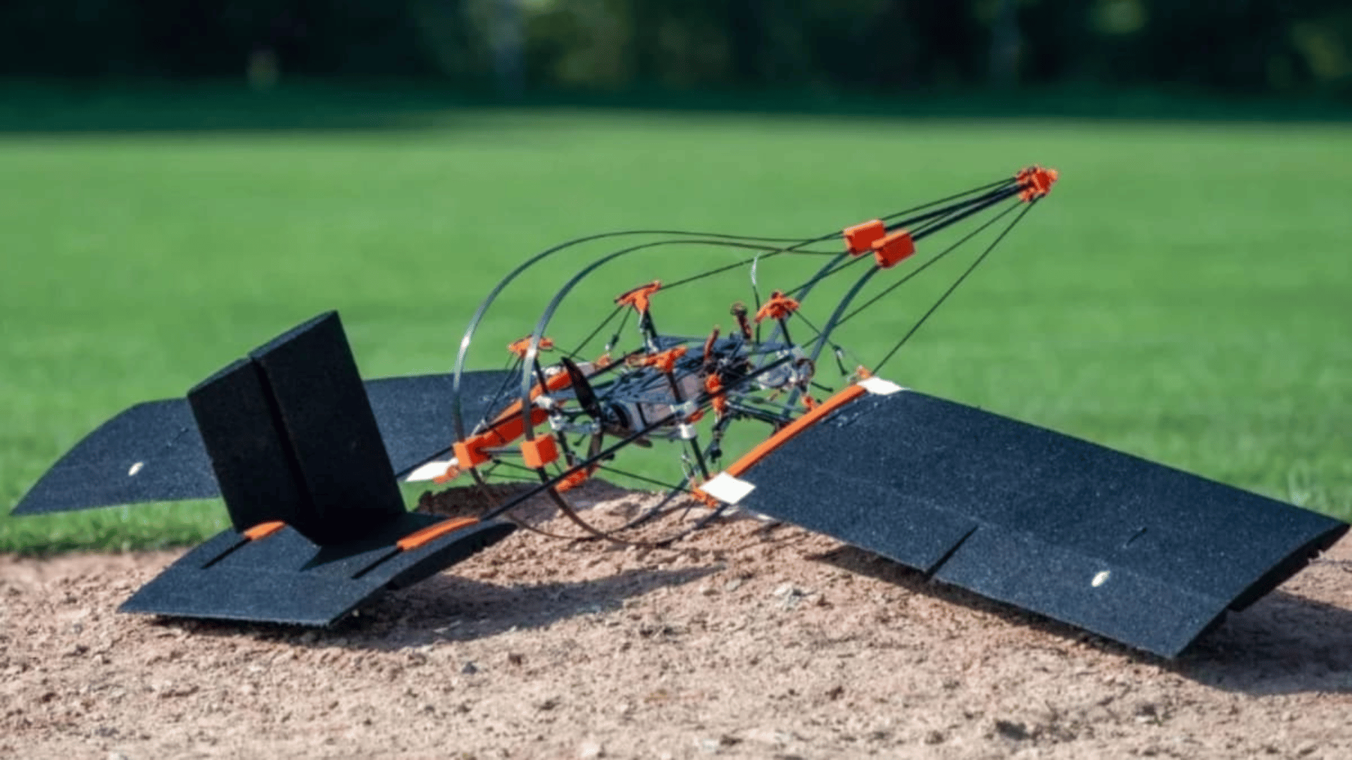 Woodpecker-inspired drone design; Photo: EPFL Via IG:Edisonbilgi