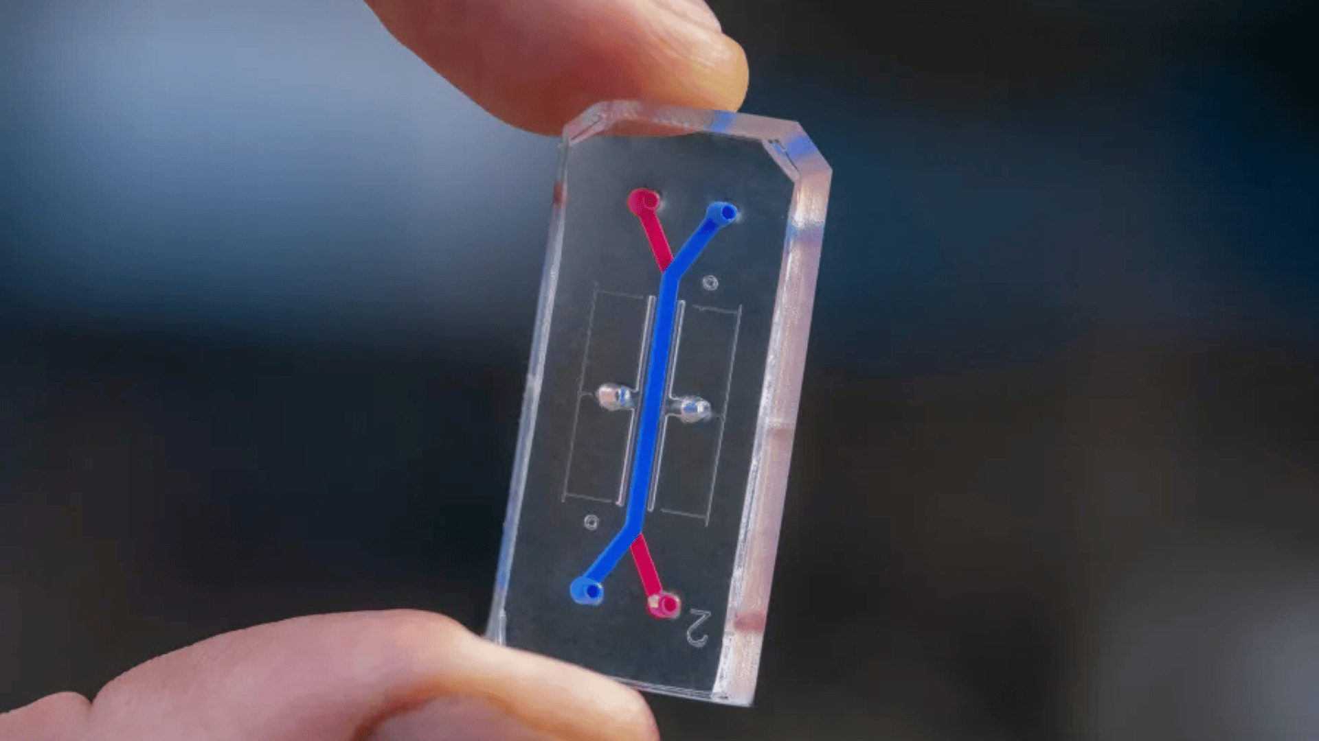 The organ chip that is part of the AVATAR experiment The organ chip that is part of the AVATAR experiment